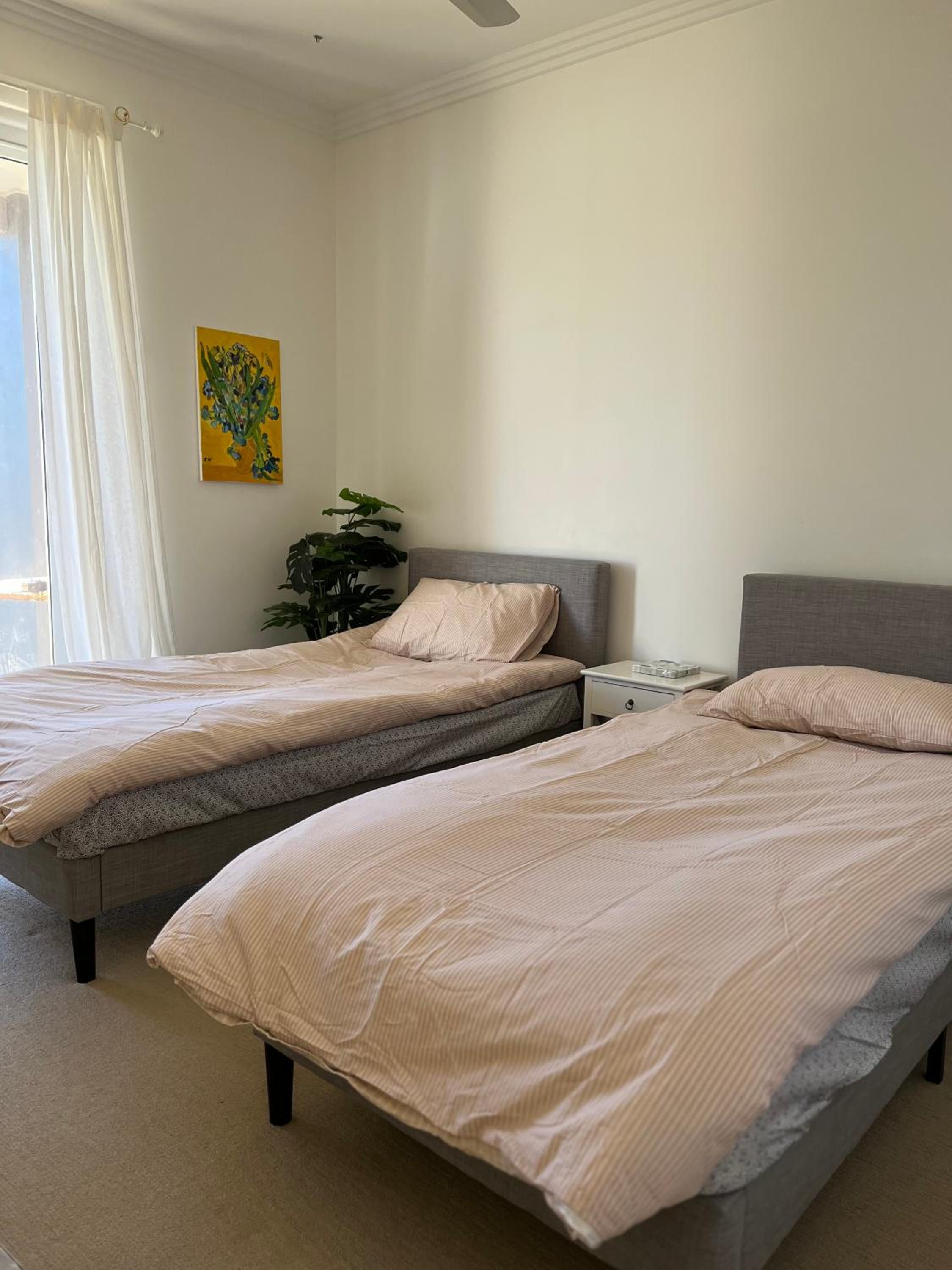 Deluxe Double Or Twin Room photo 2