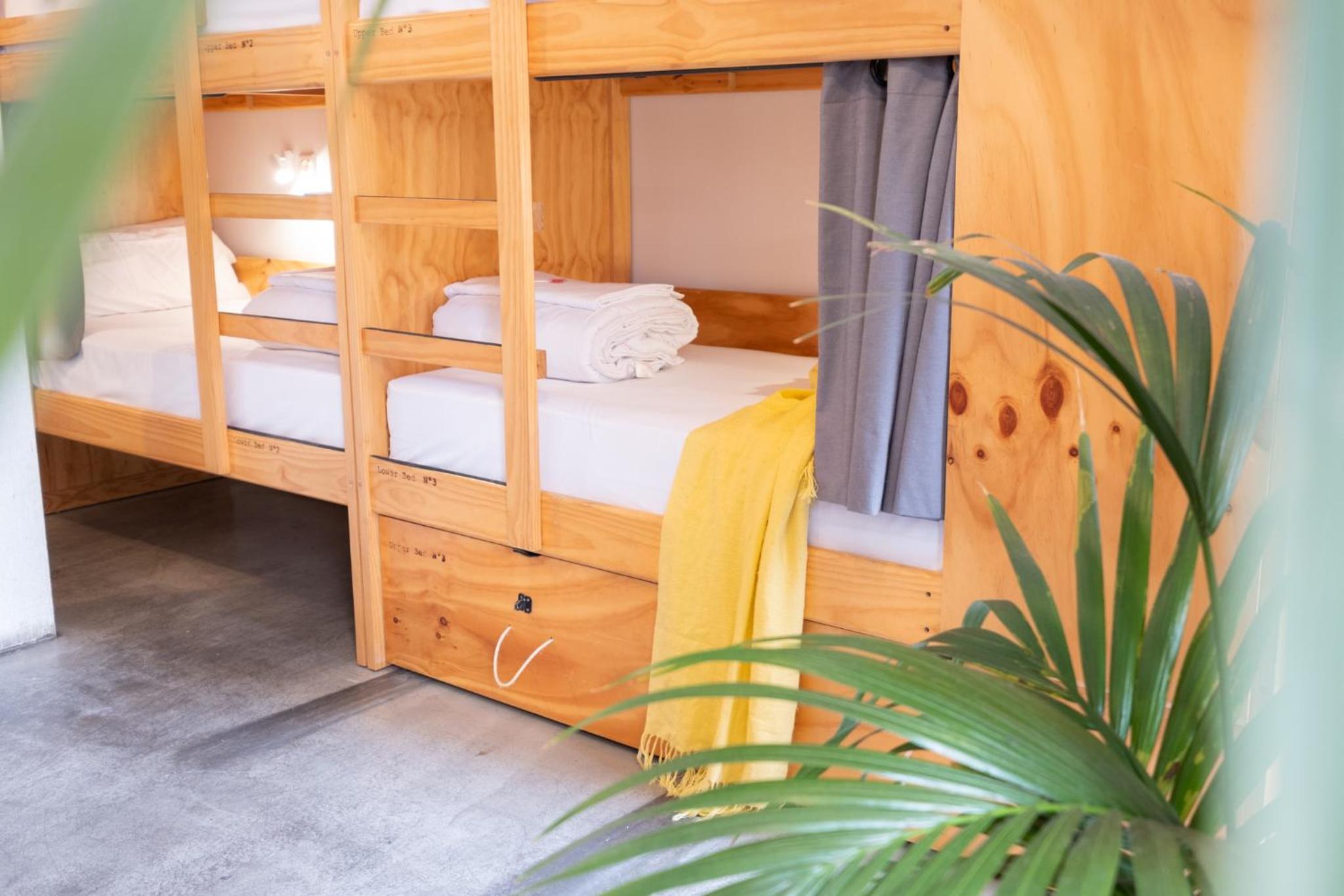 Single Bed in 8-Bed Female Dormitory Room with Private Bathroom photo 2