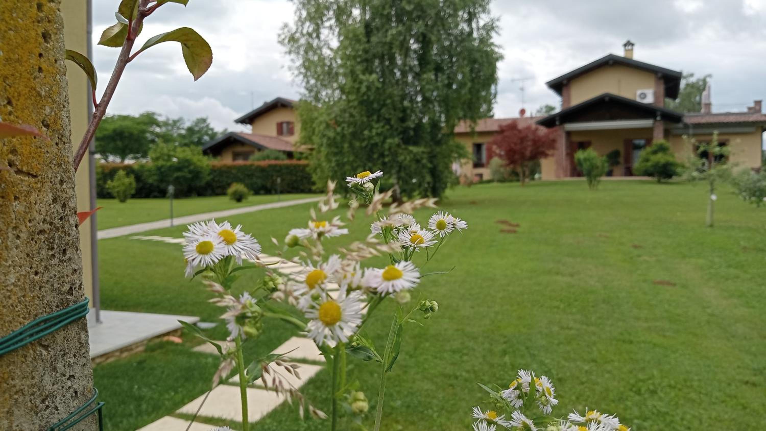Apartment with Garden View photo 2