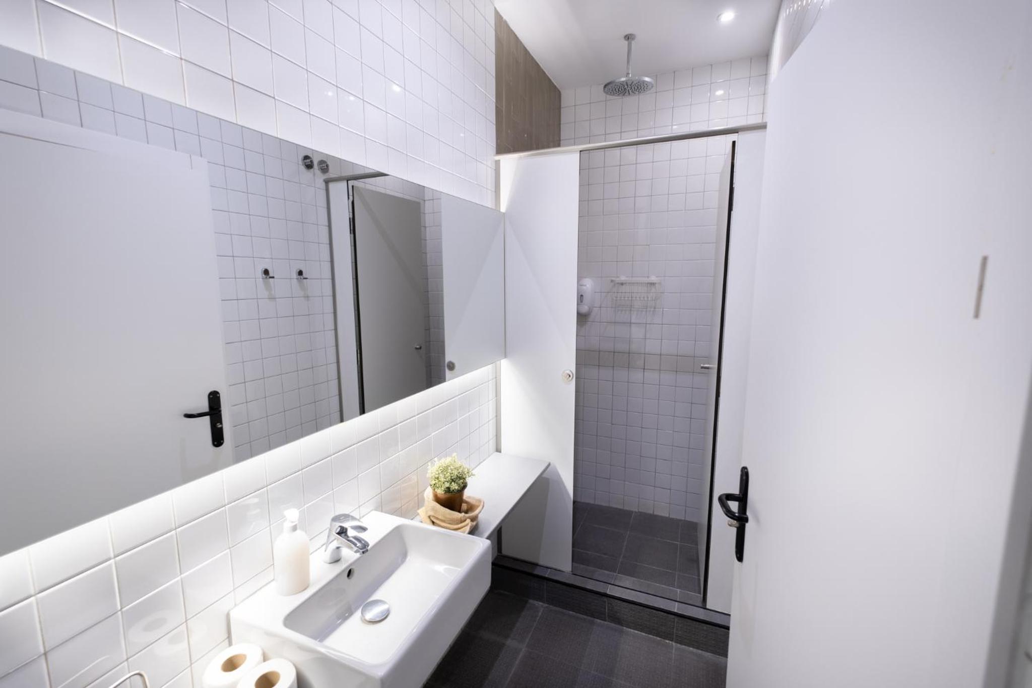 Single Bed in 8-Bed Mixed Dormitory Room with Shared Bathroom  photo 2