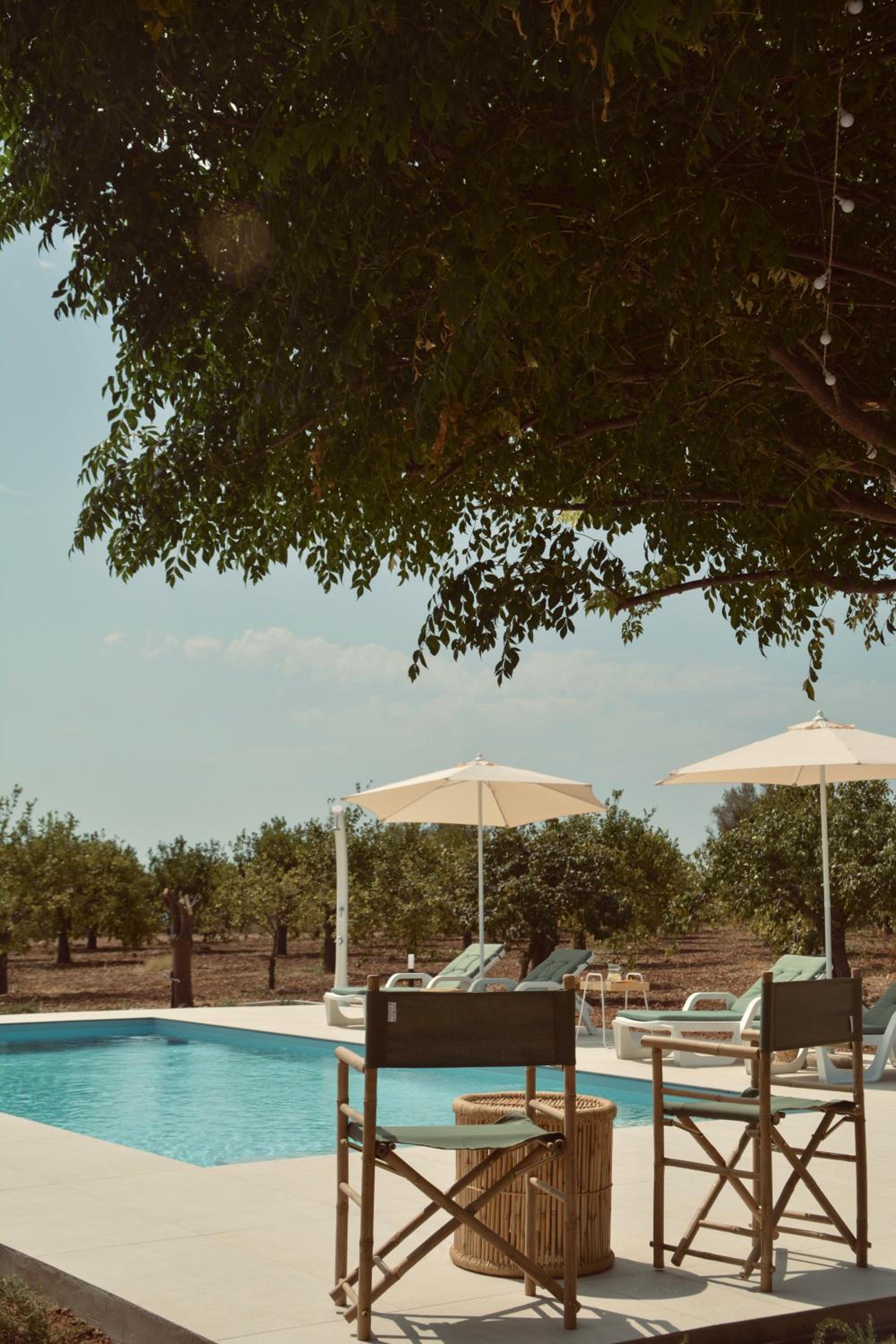 Standard Villa photo 2