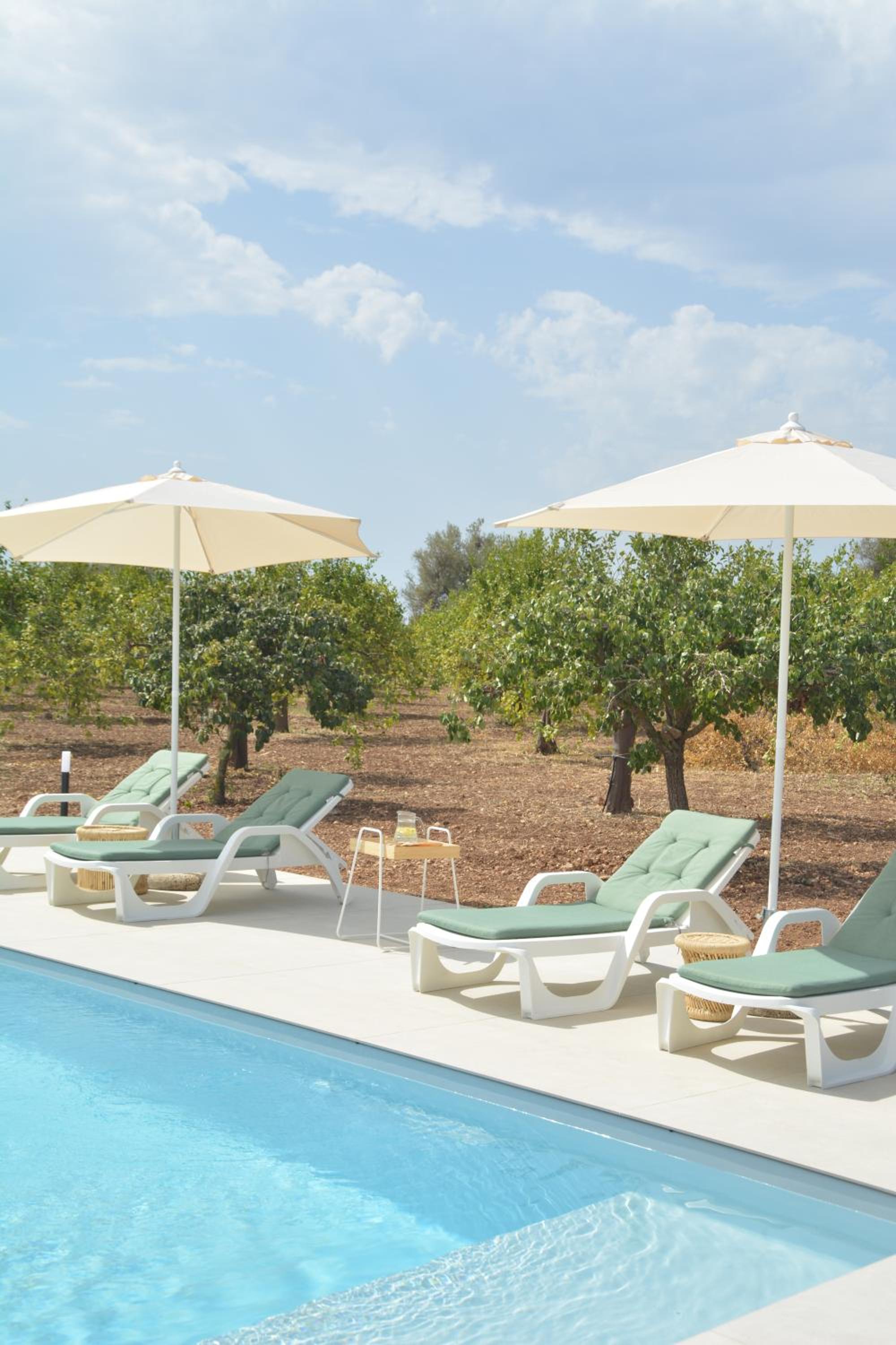 Deluxe Villa photo 2