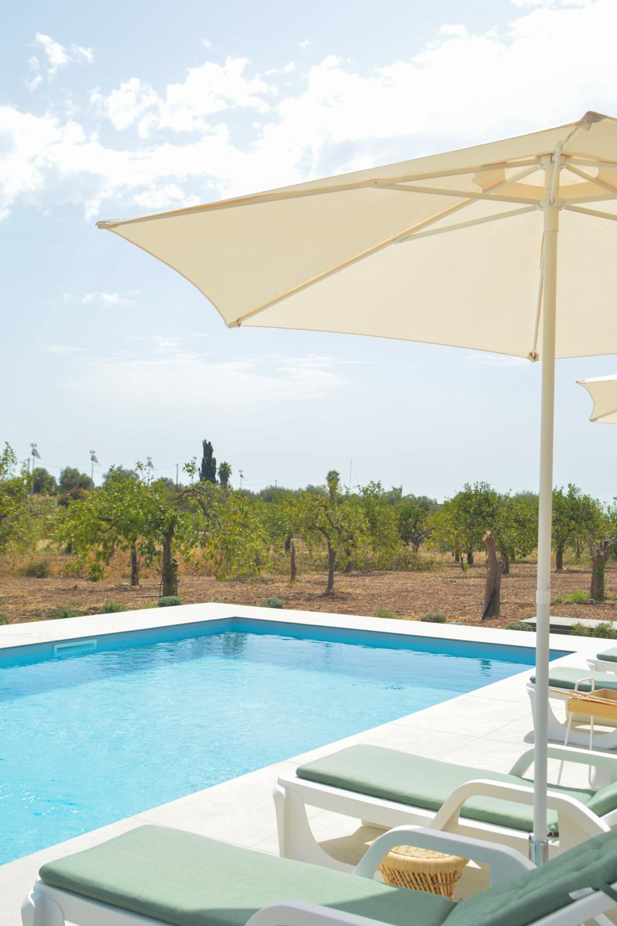 Standard Villa photo 3