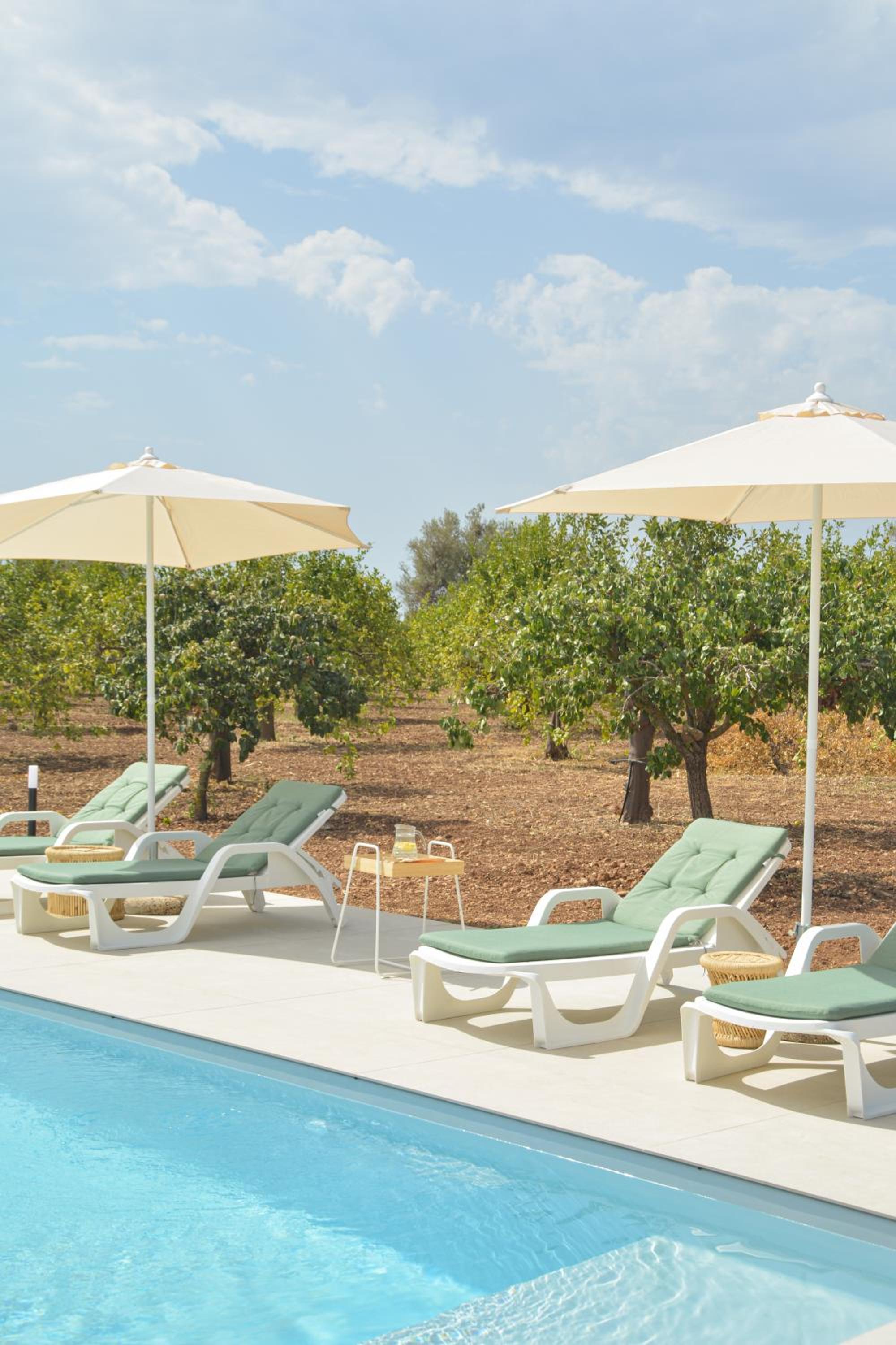 Standard Villa photo 2