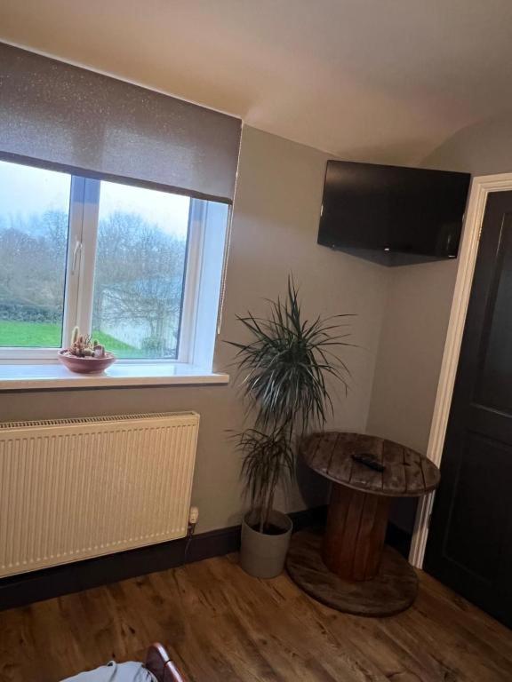 King Room with Garden View photo 2