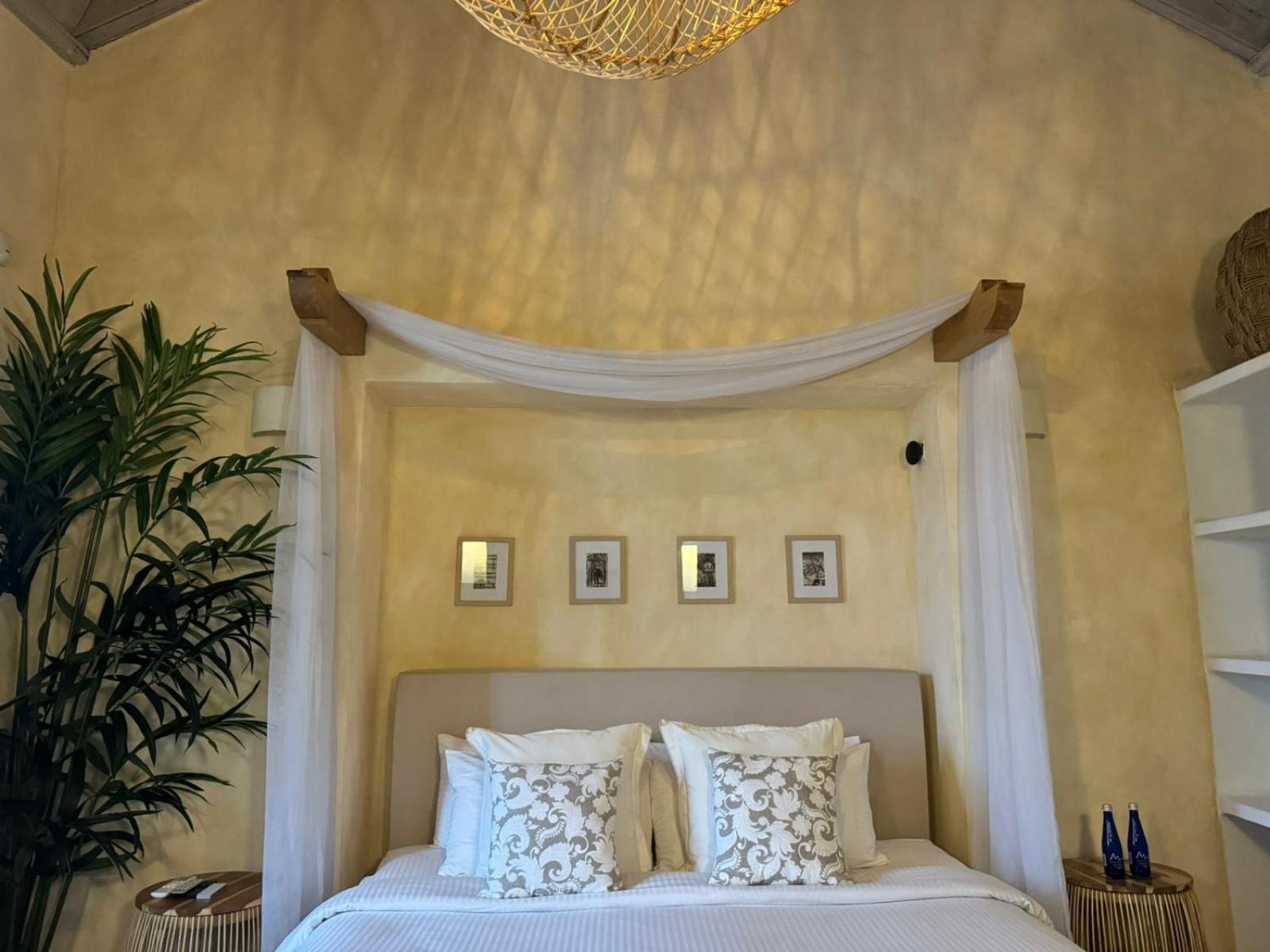 Junior Suite photo 1