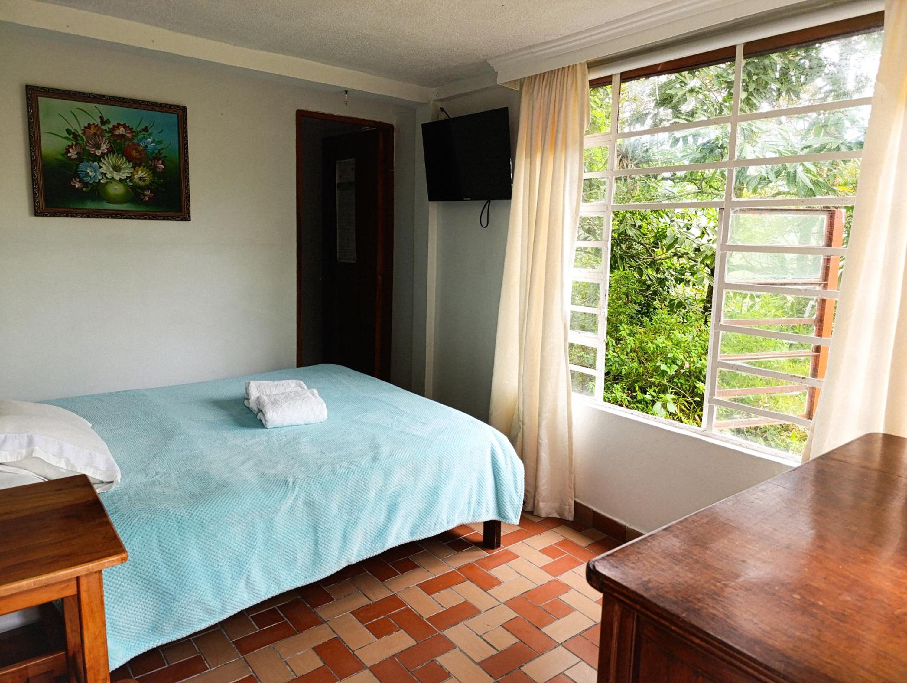Single Room photo 1