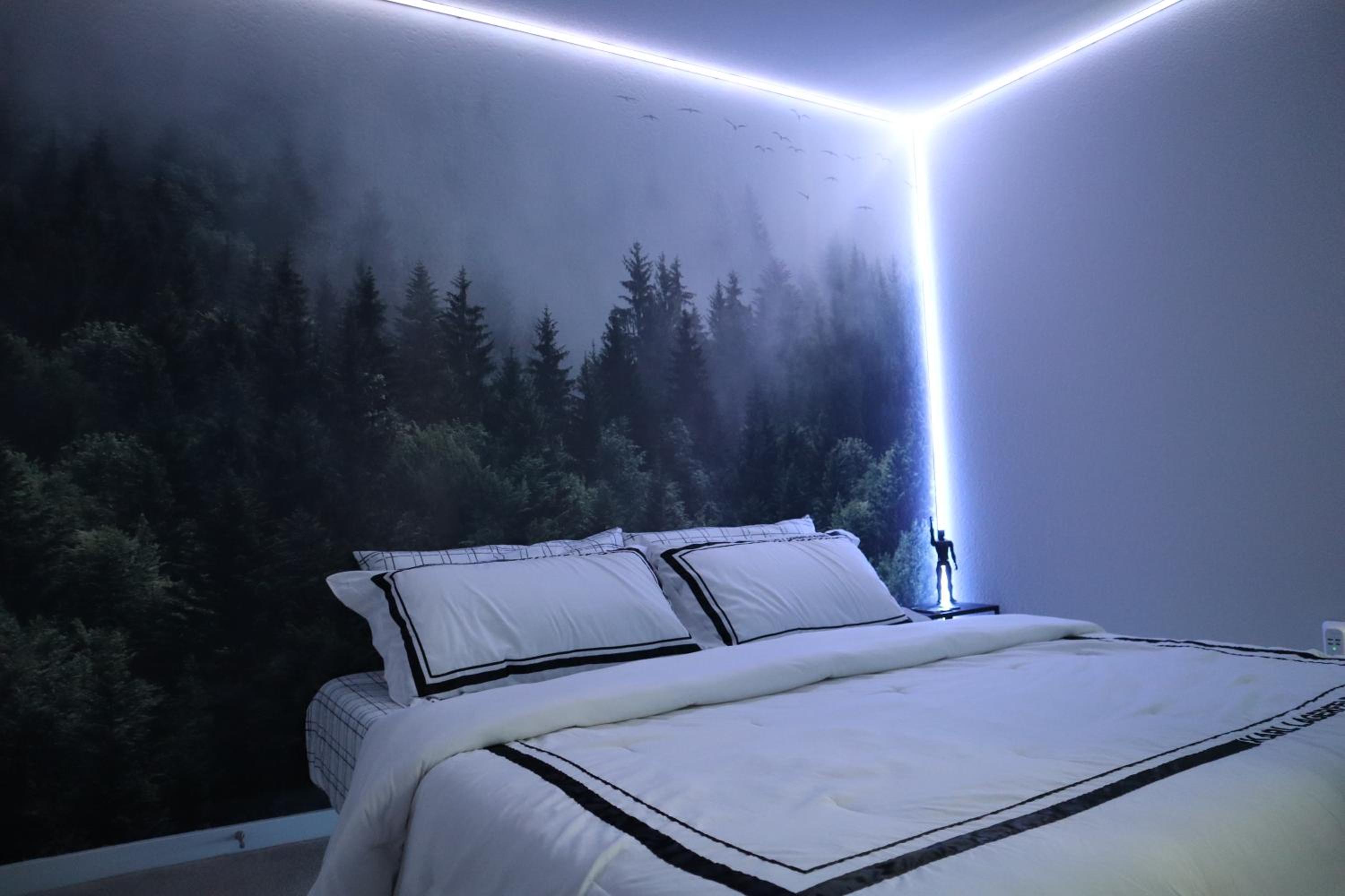 King Room photo 1