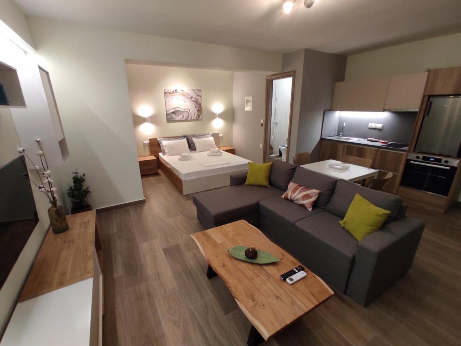 Studio Apartment with King Bed