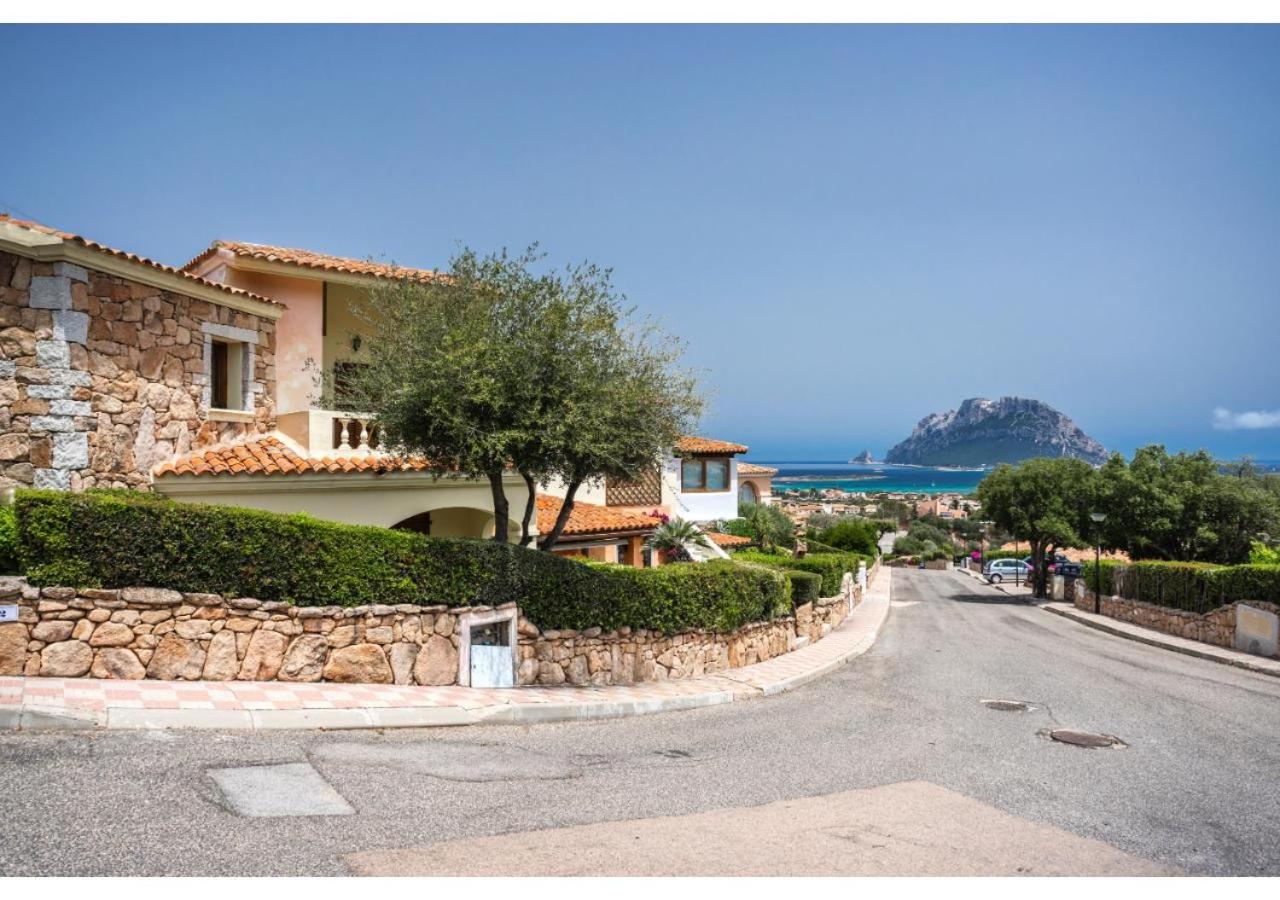Villa with Sea View photo 3