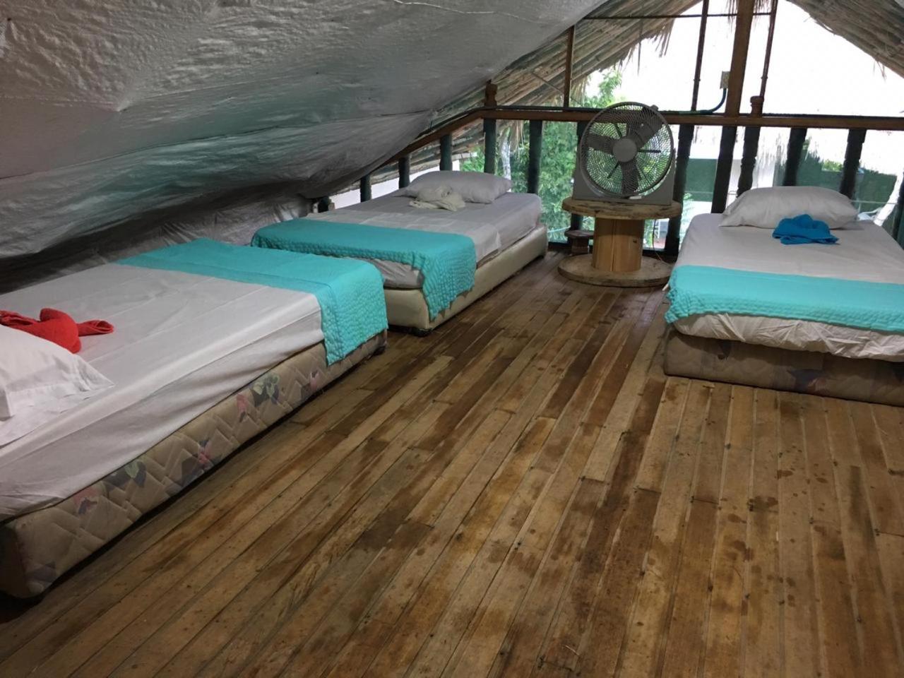 Two-Bedroom House photo 1