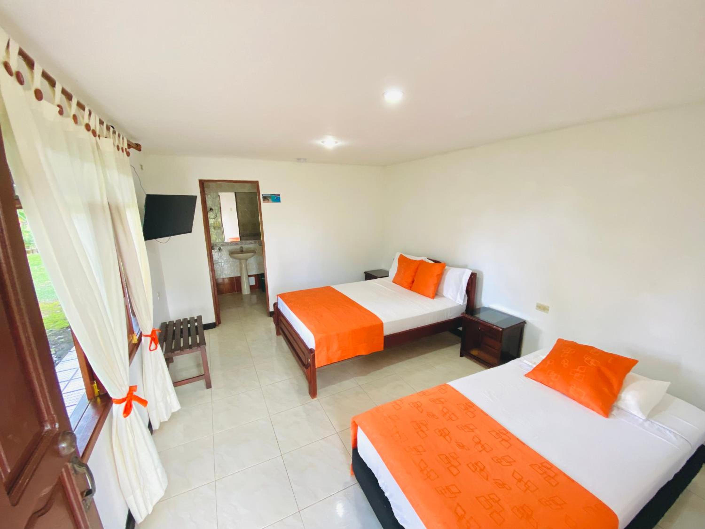 Twin Room photo 1