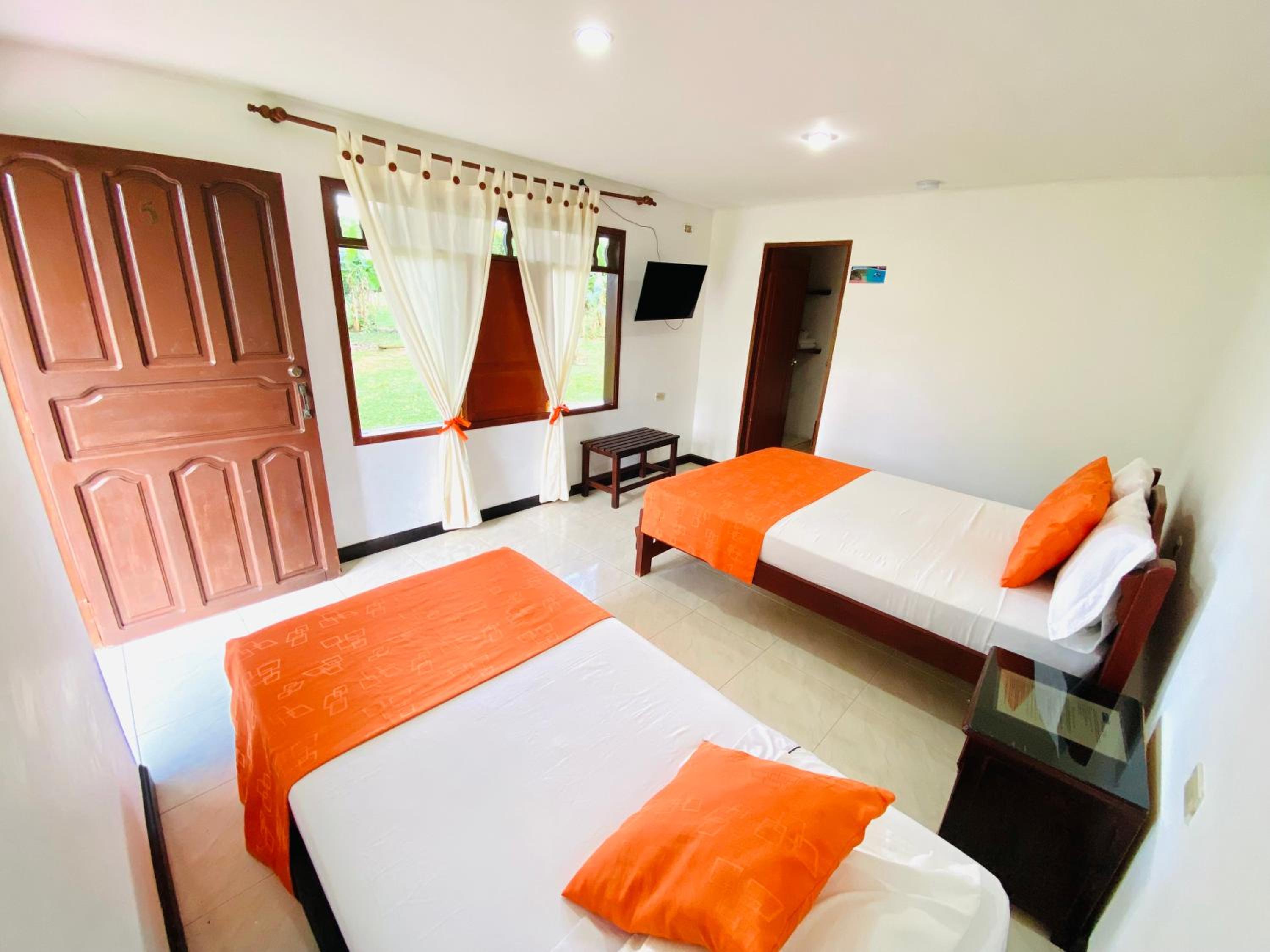 Twin Room photo 2
