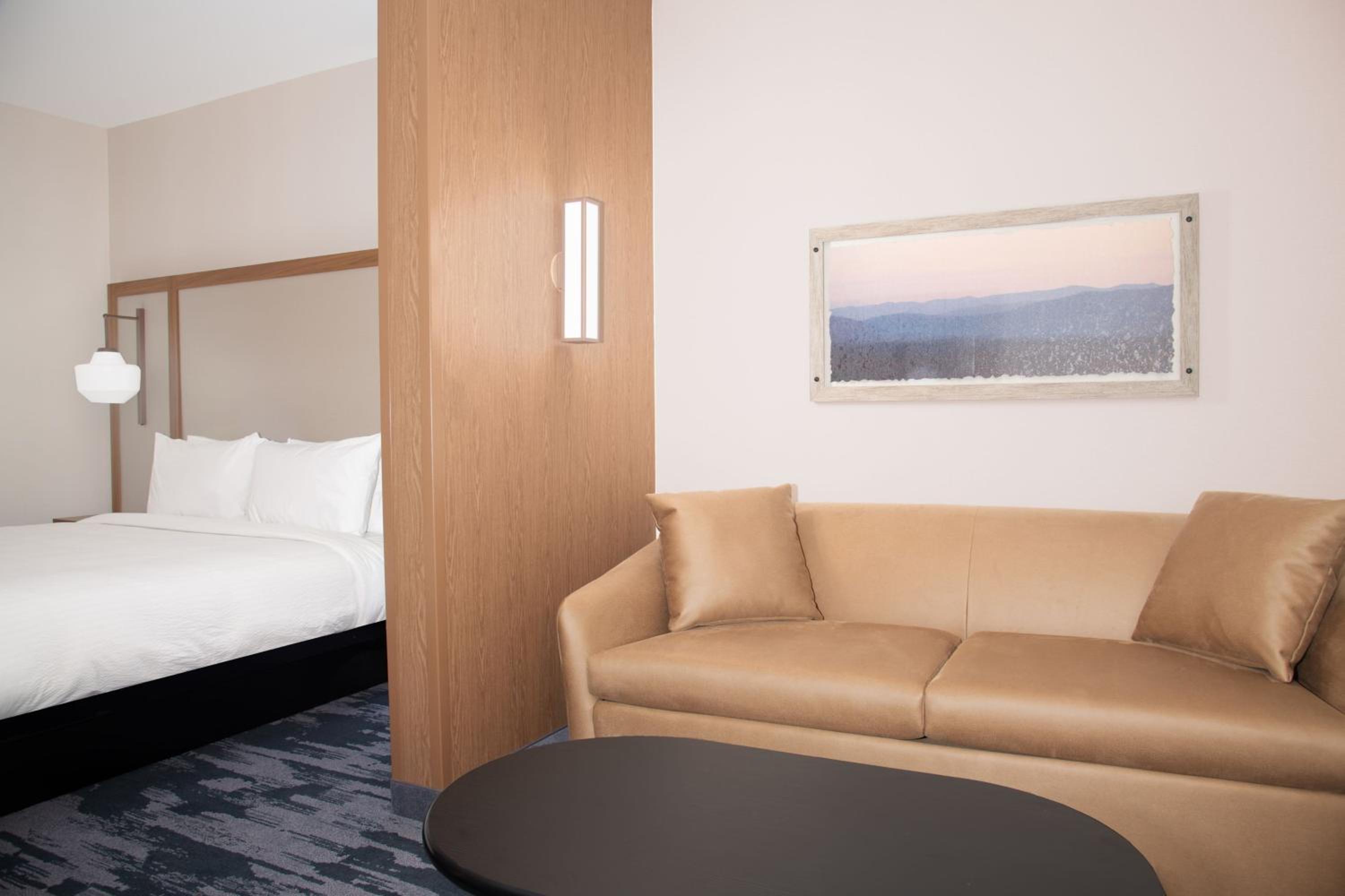 Extended King Suite with Sofa Bed - Photo 5