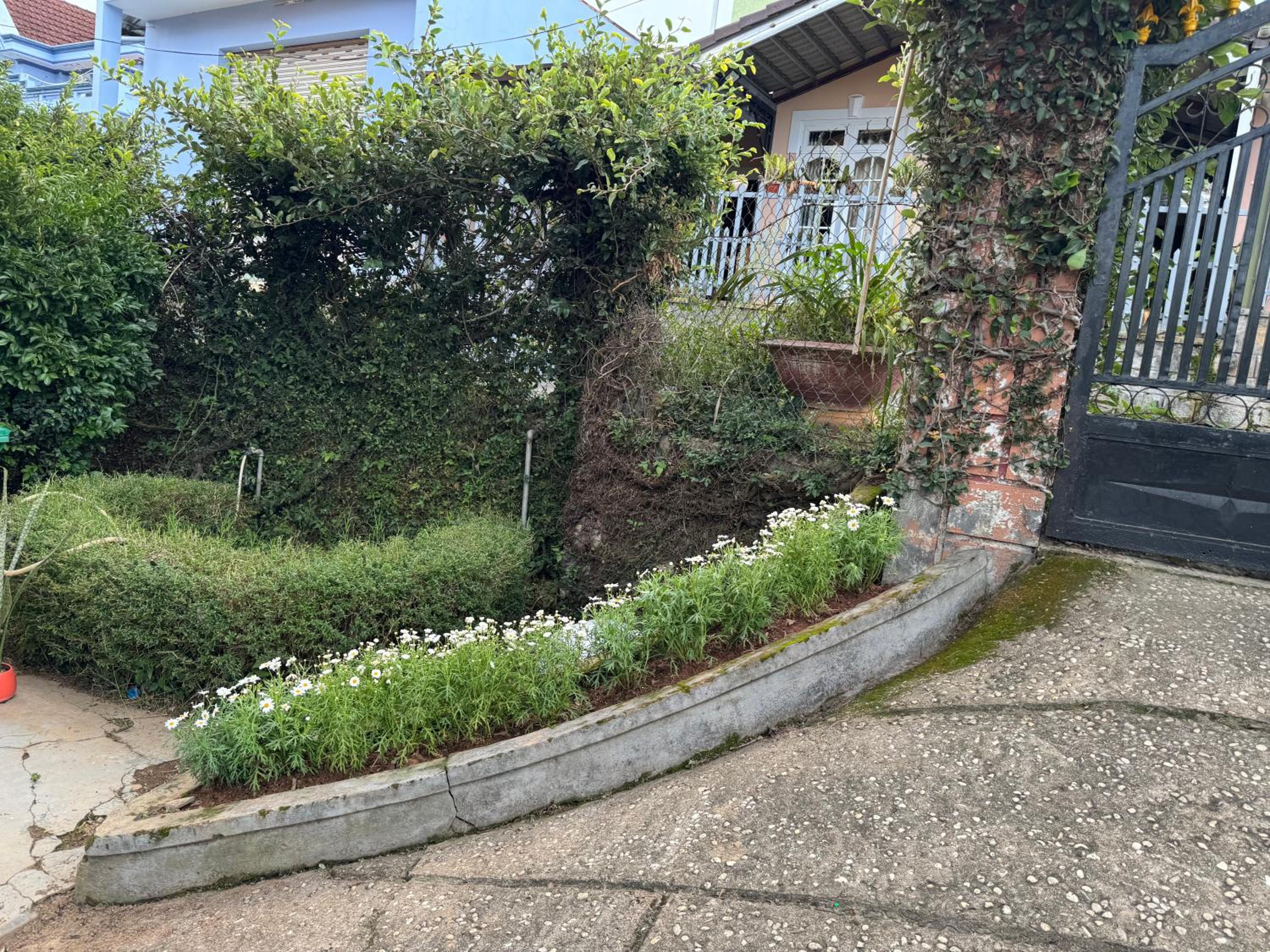 花园景豪华小木屋