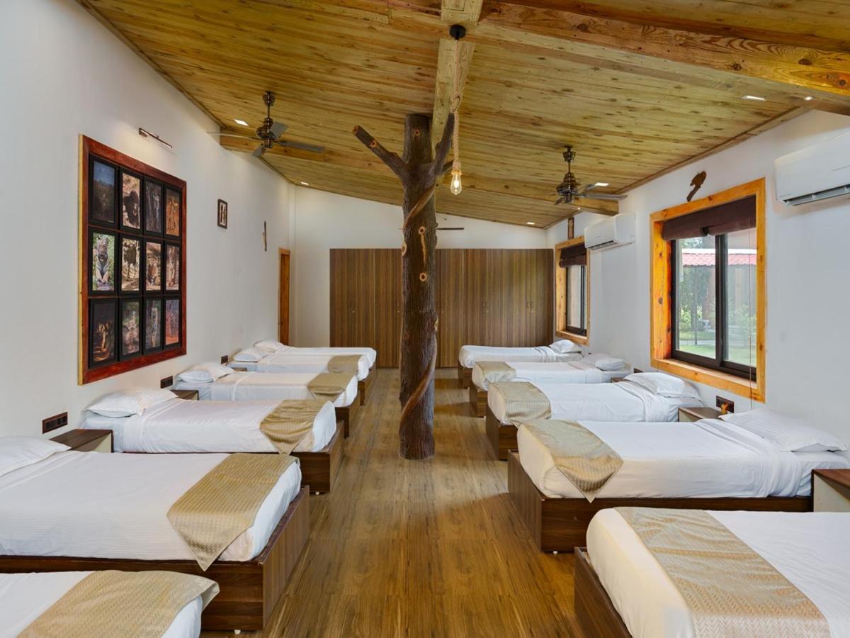 Single Bed In 10-Bed Dormitory Room photo 1