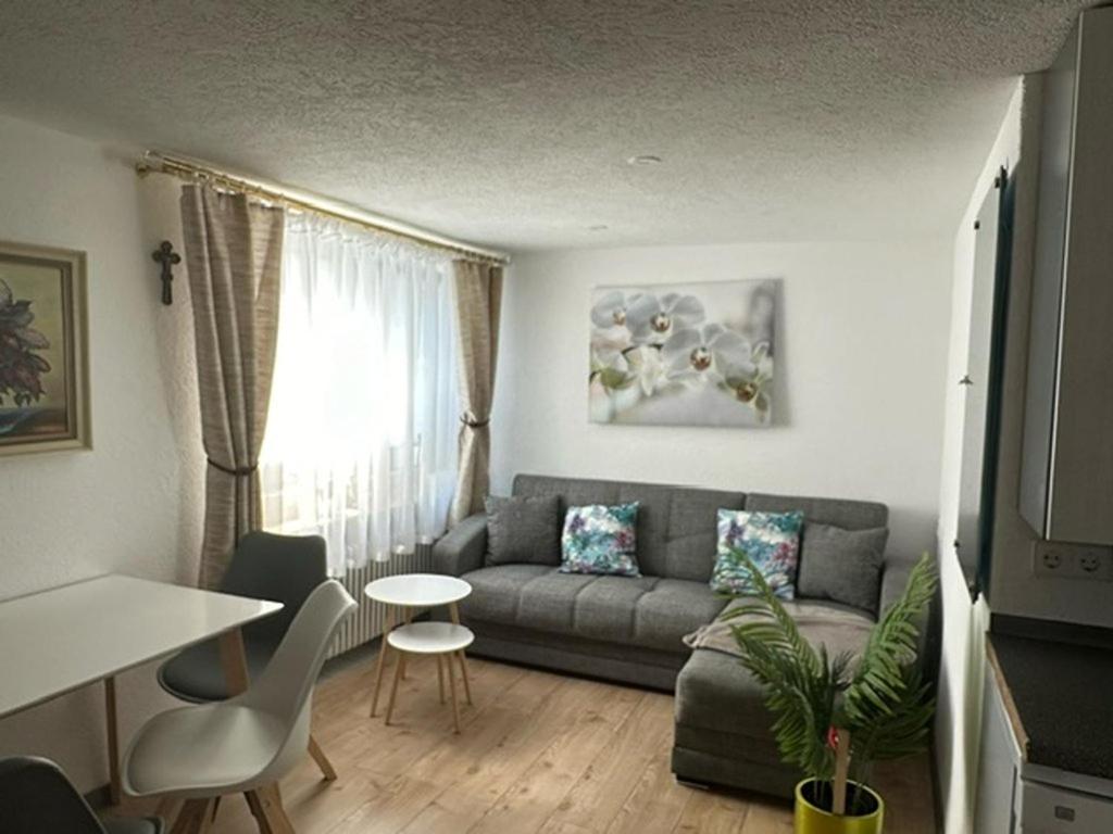 Apartment with Terrace photo 1
