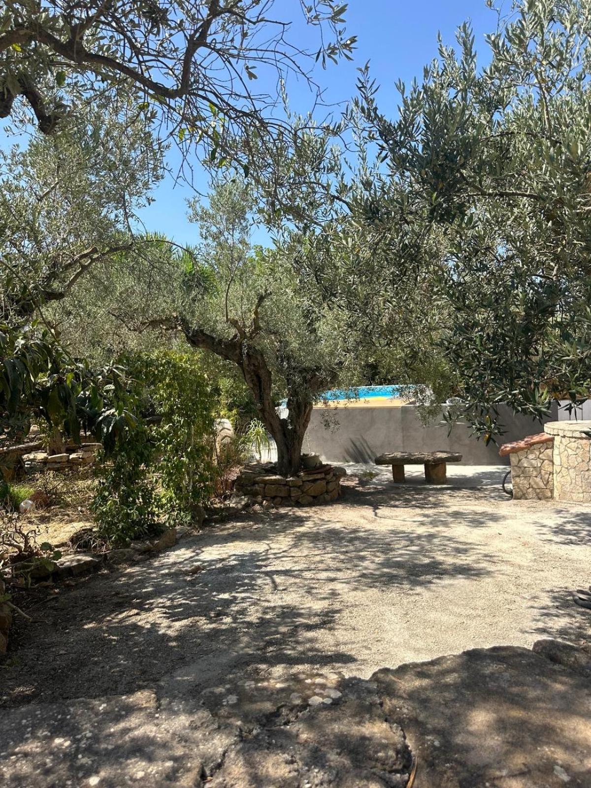 Two-Bedroom Villa photo 2