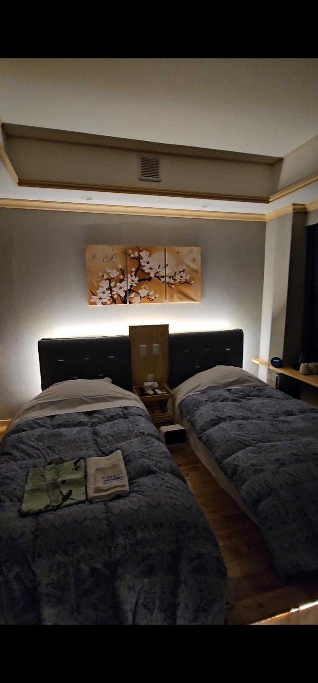 Deluxe Twin Room photo 1