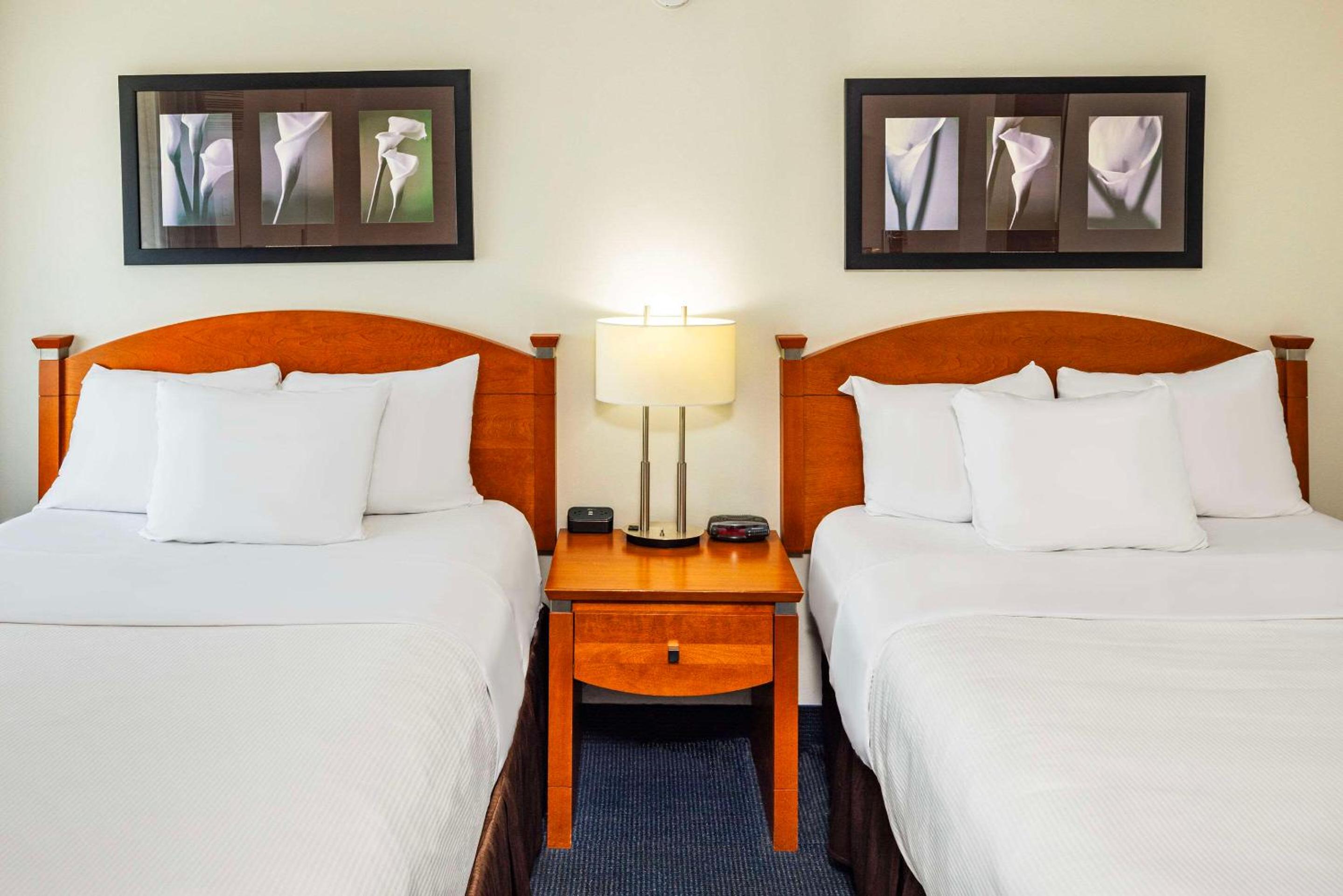 Standard Double Room with Two Double Beds photo 1
