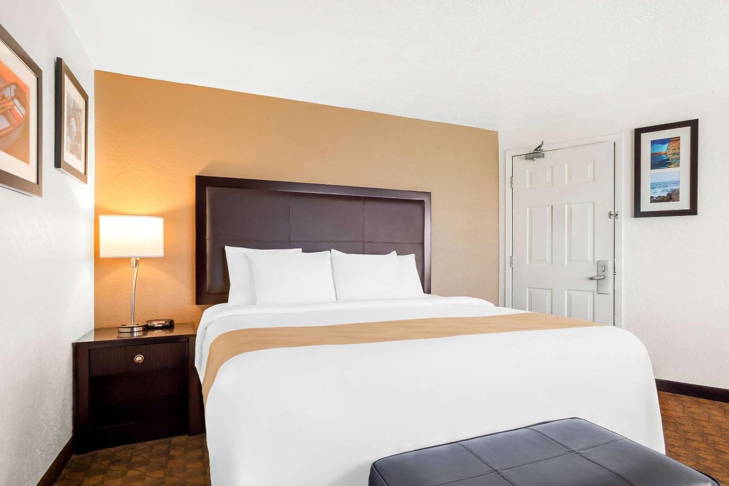 King Room - Non-Smoking - Photo 4