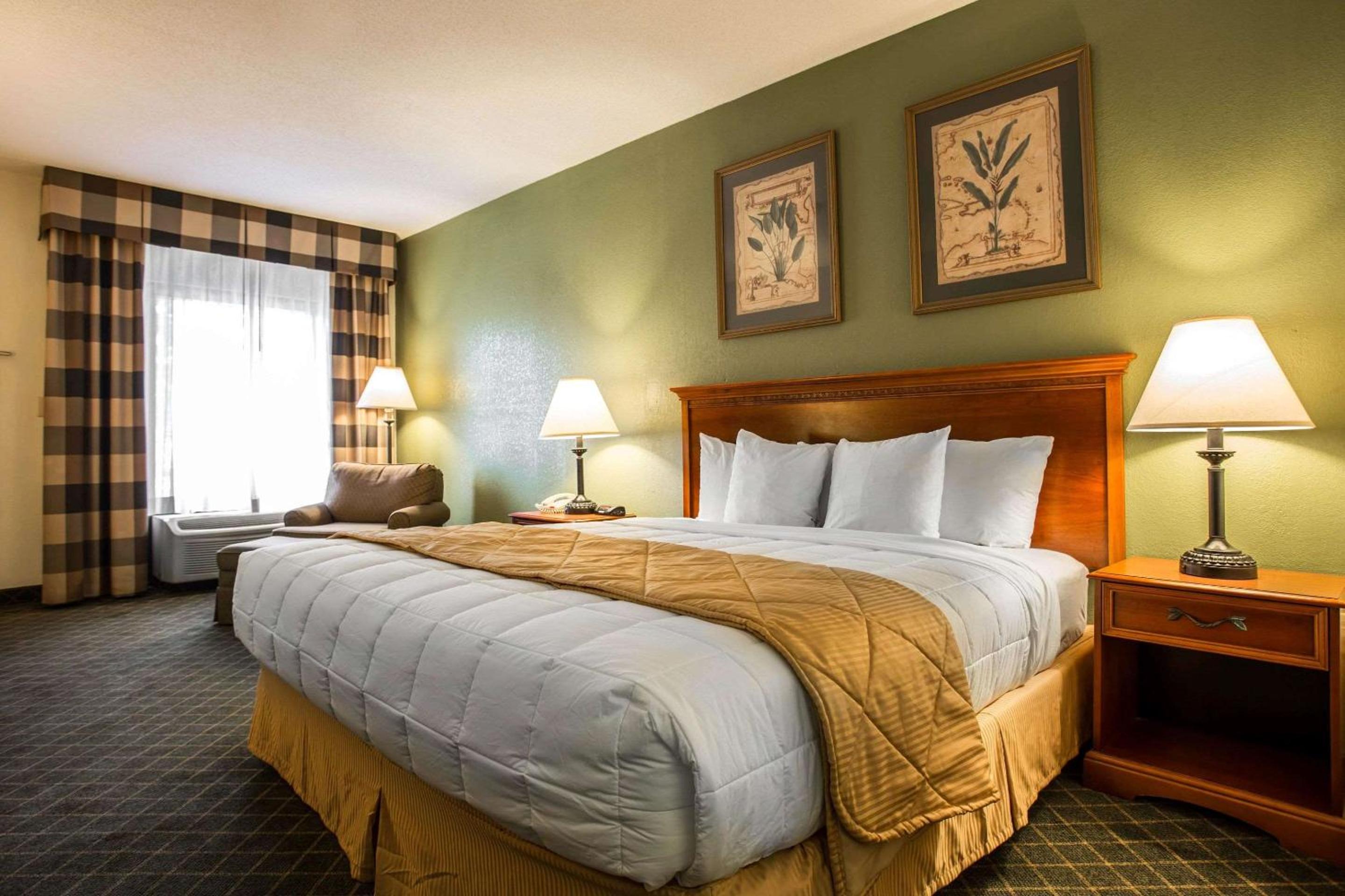 King Room with Roll-in-Shower - Accessible/Non-Smoking photo 1