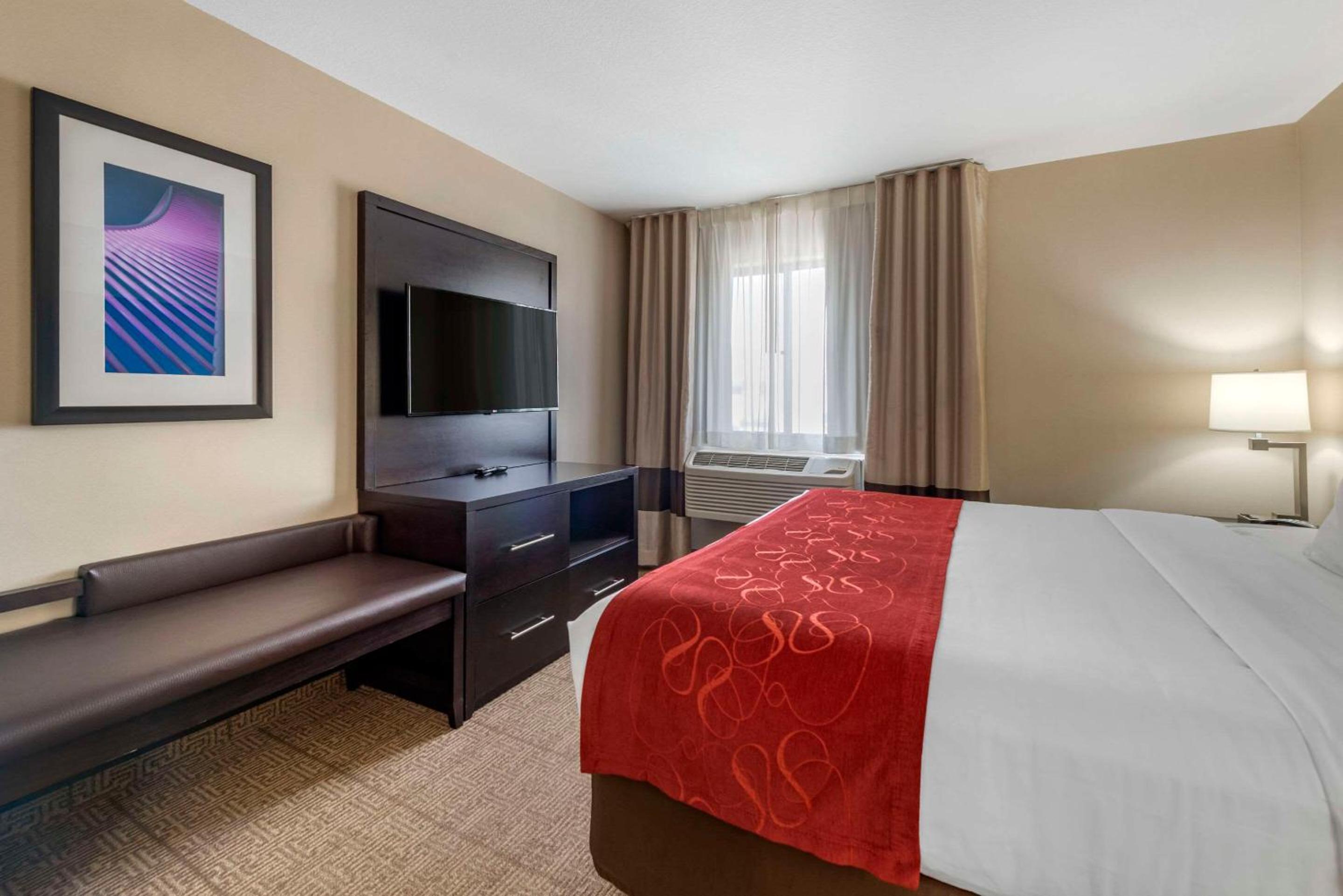 King Suite - Accessible/Non-Smoking - Photo 8