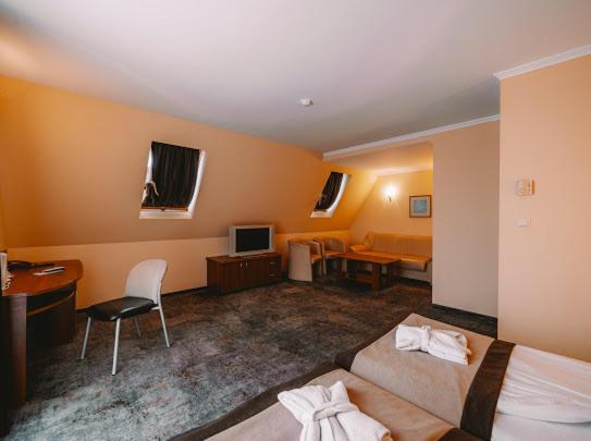 Standard Studio - Photo 10