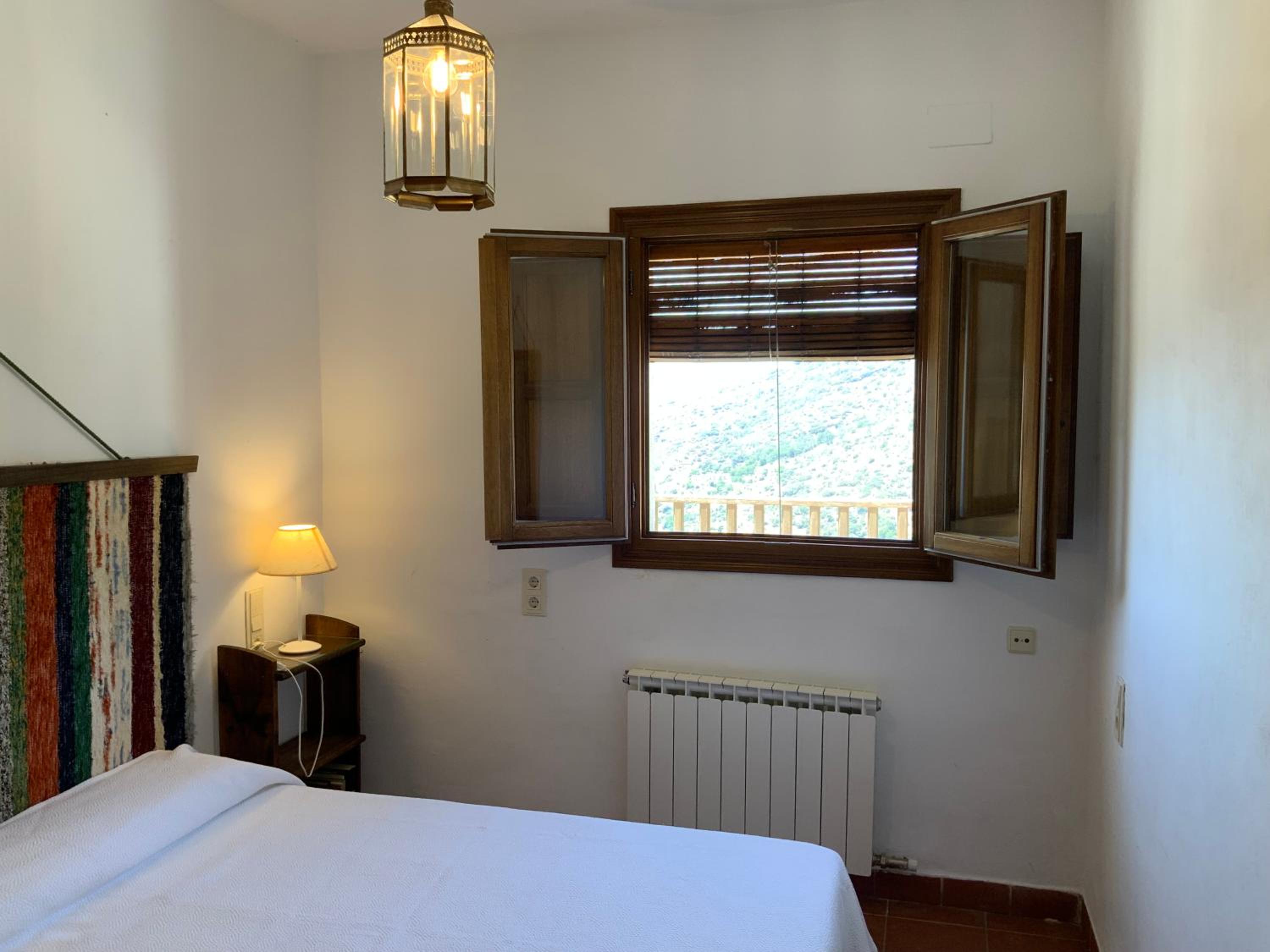Apartment with Terrace photo 3