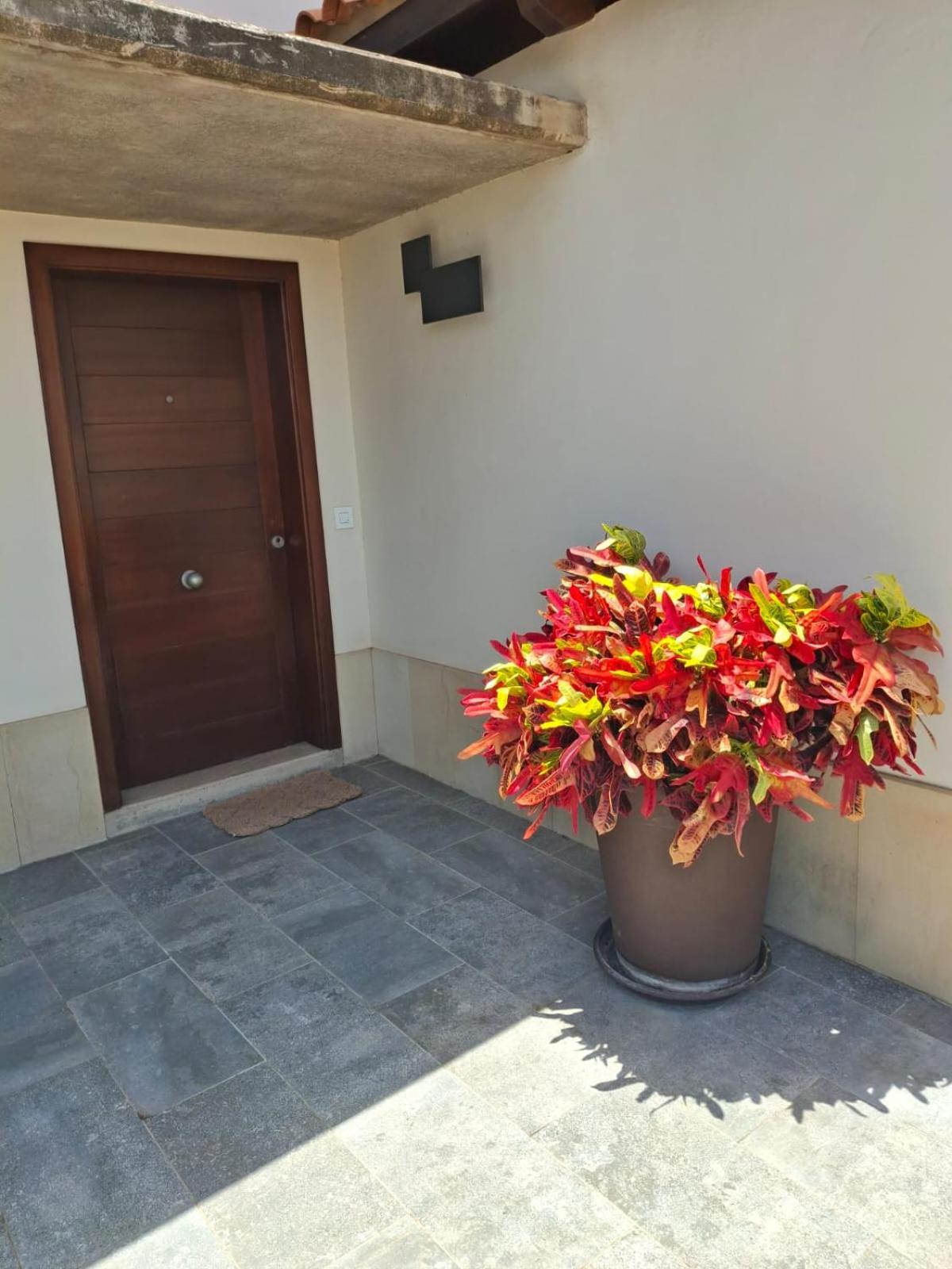 Two-Bedroom House photo 2