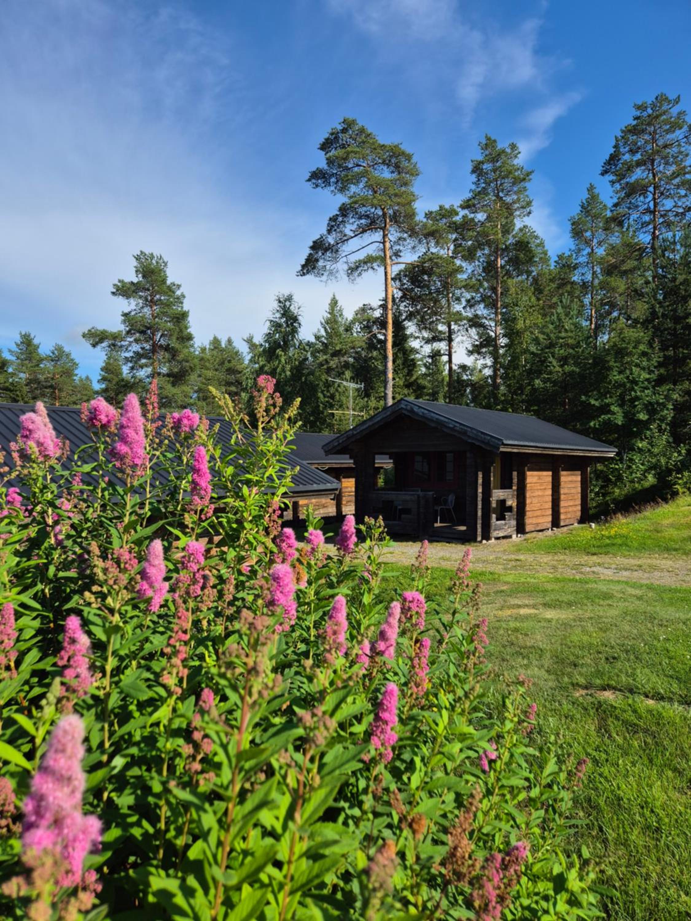 Cottage (2 Adults) - Photo 5