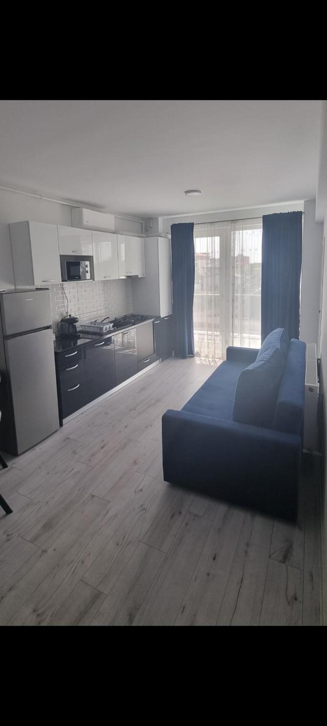One-Bedroom Apartment photo 3