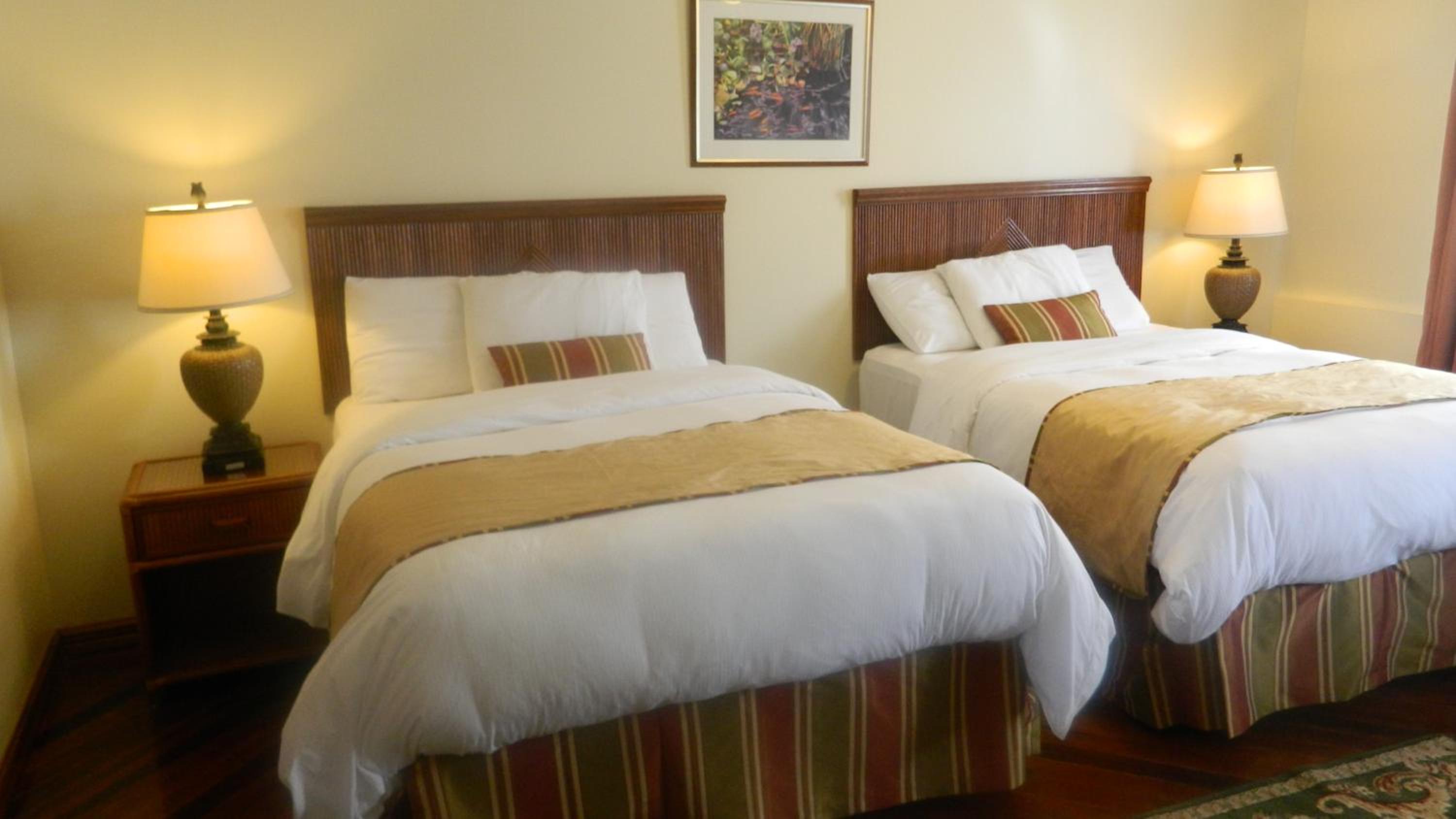 Executive Twin Room photo 2