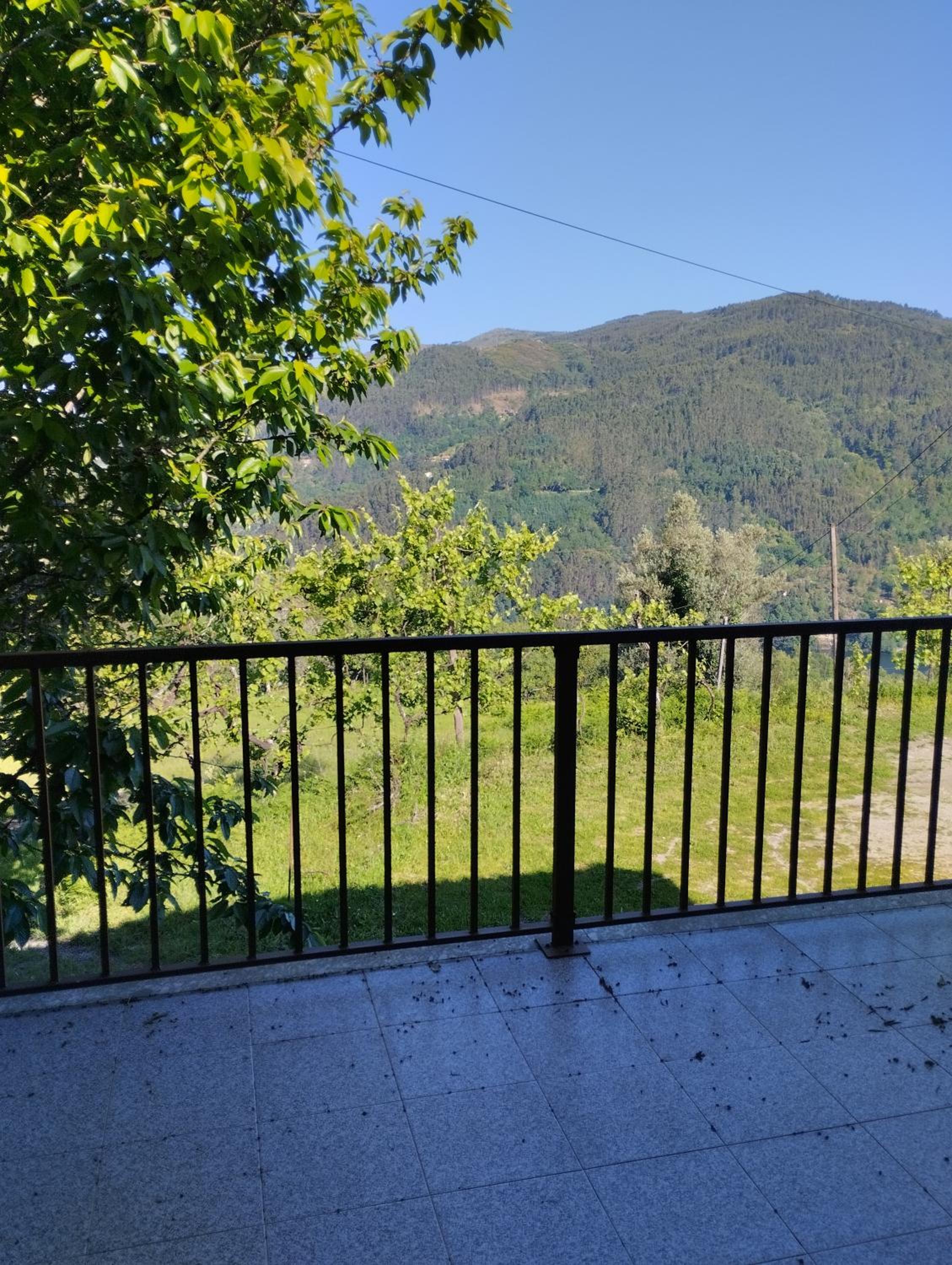 Family Room with Balcony photo 3