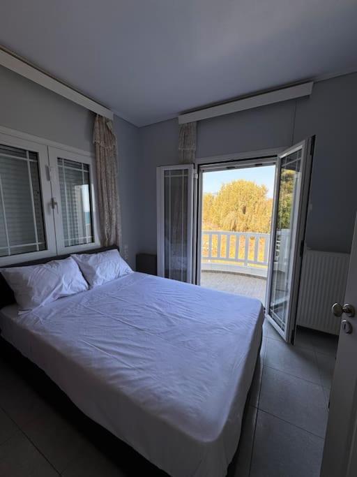 Four-Bedroom House photo 1