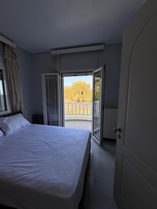 Four-Bedroom House photo 2