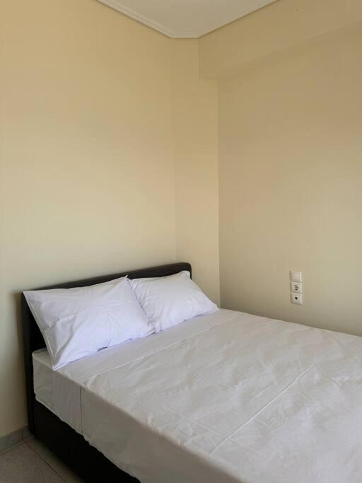 Four-Bedroom House photo 3