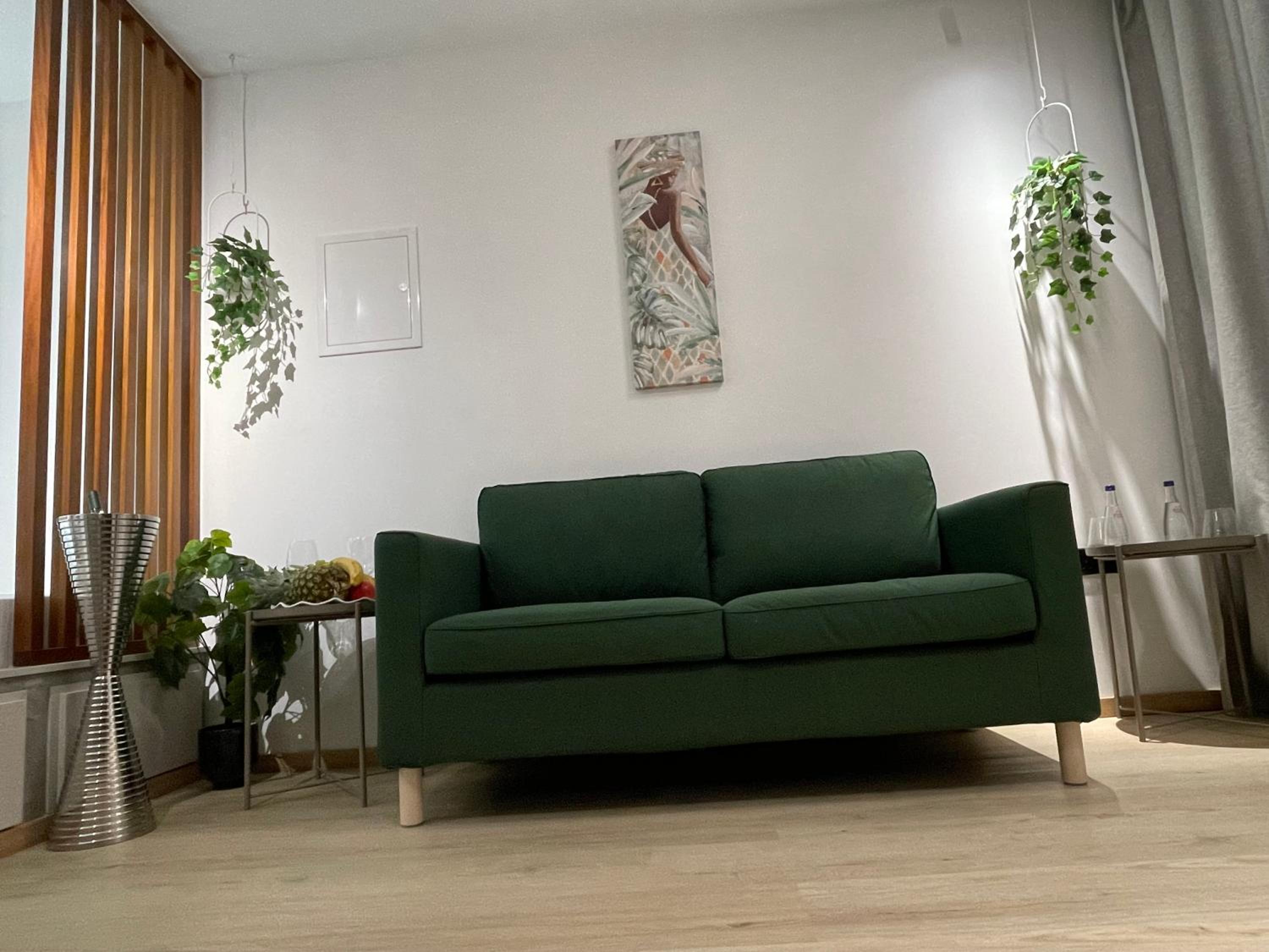 One-Bedroom Apartment photo 2