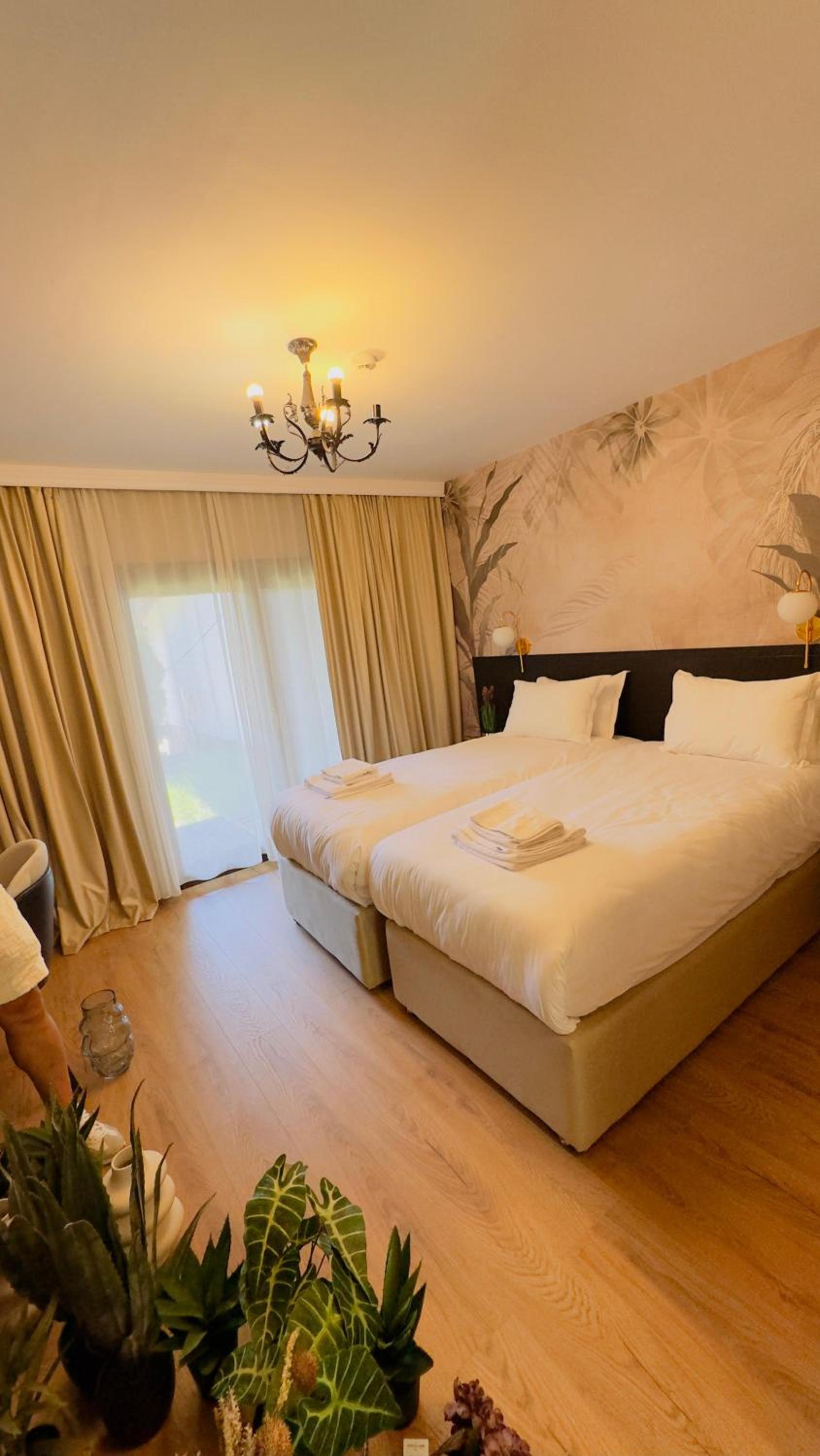 Superior Double or Twin Room with Terrace photo 1