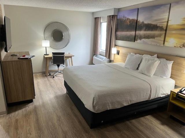 Suite - Photo 5