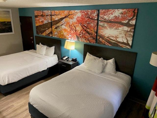 Queen Room with Two Queen Beds - Non-Smoking - Photo 5