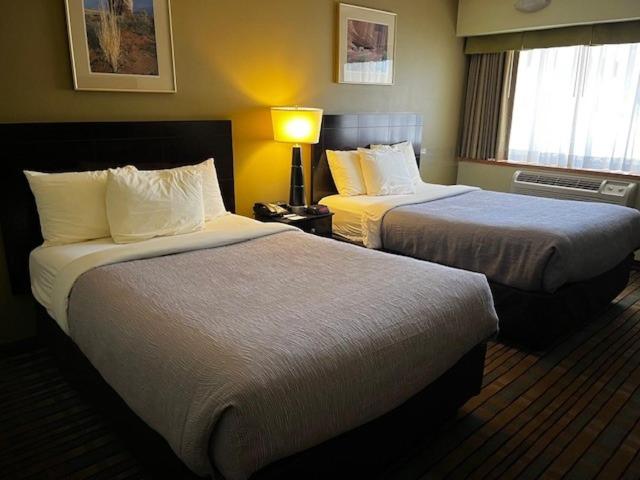 Double Room - Photo 9