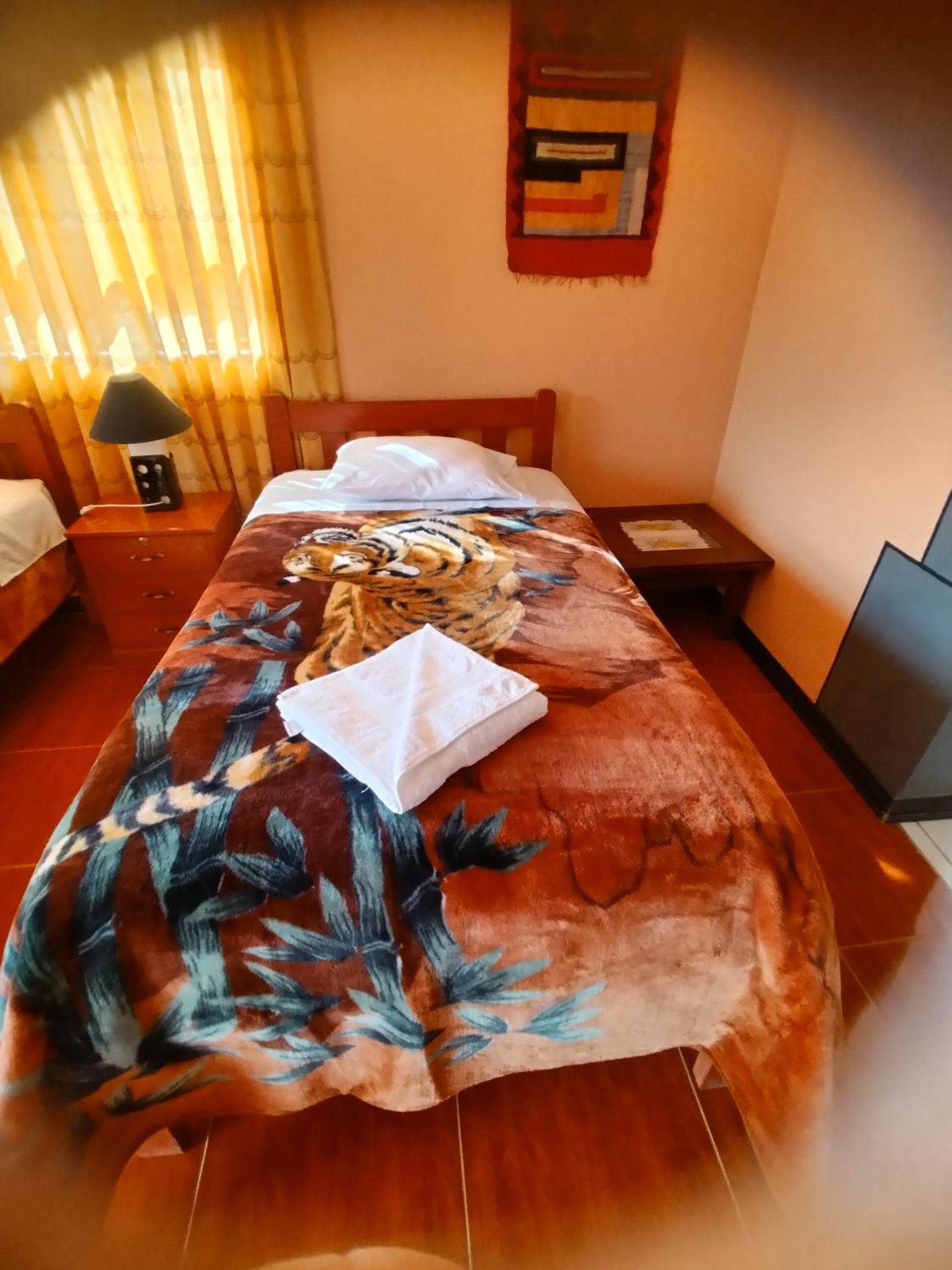 Single Room photo 2