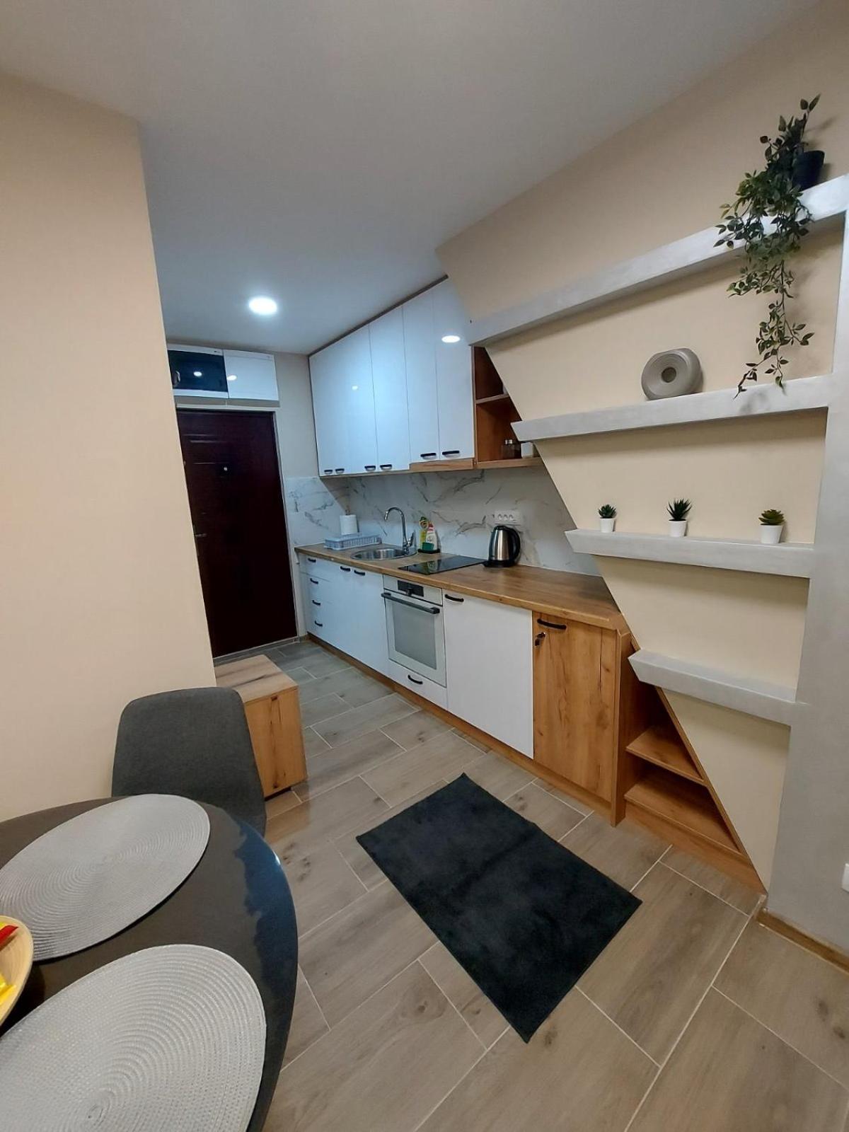One-Bedroom Apartment photo 2