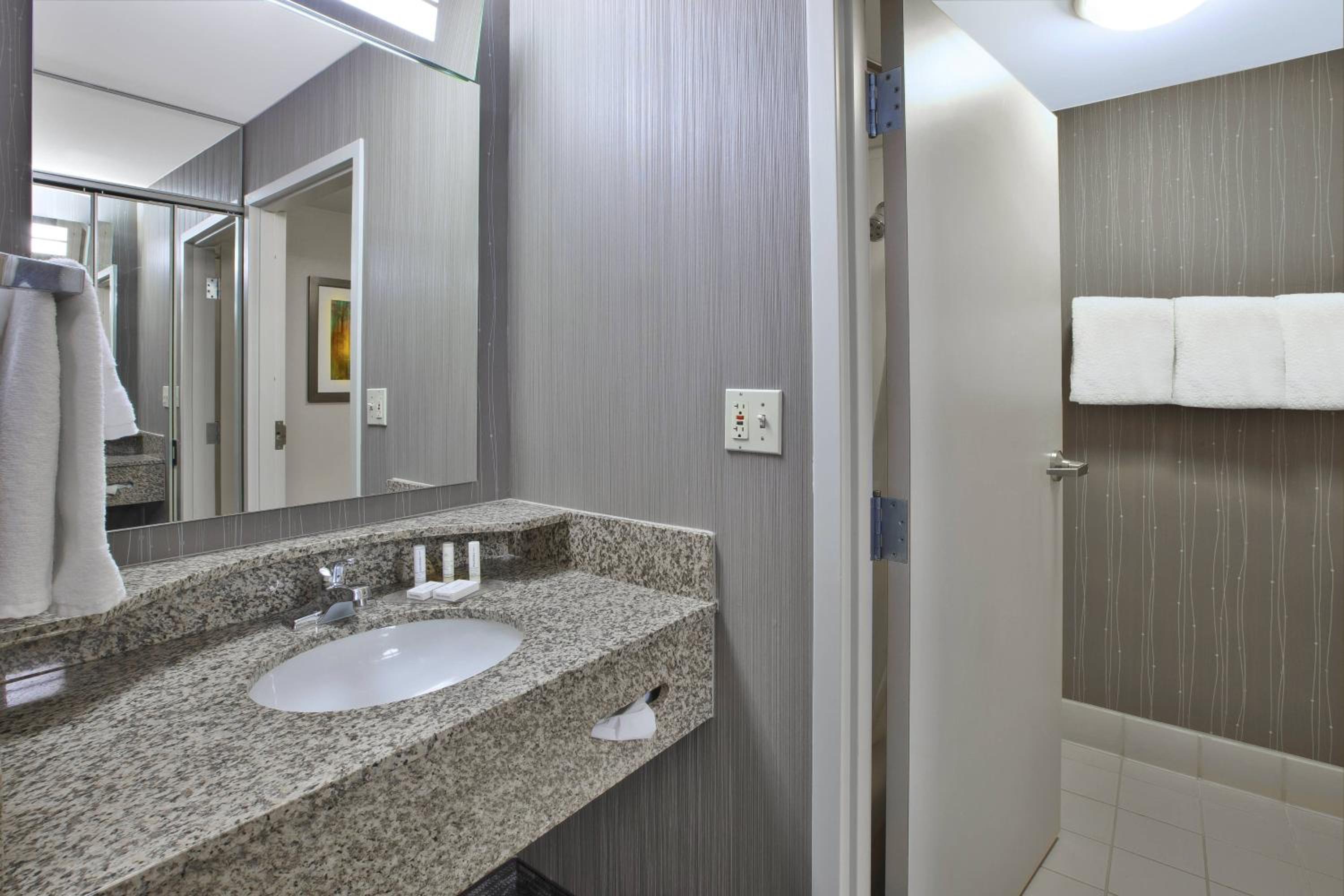 King Room with Sofa Bed and Roll-in Shower - Mobility Accessible - Photo 2