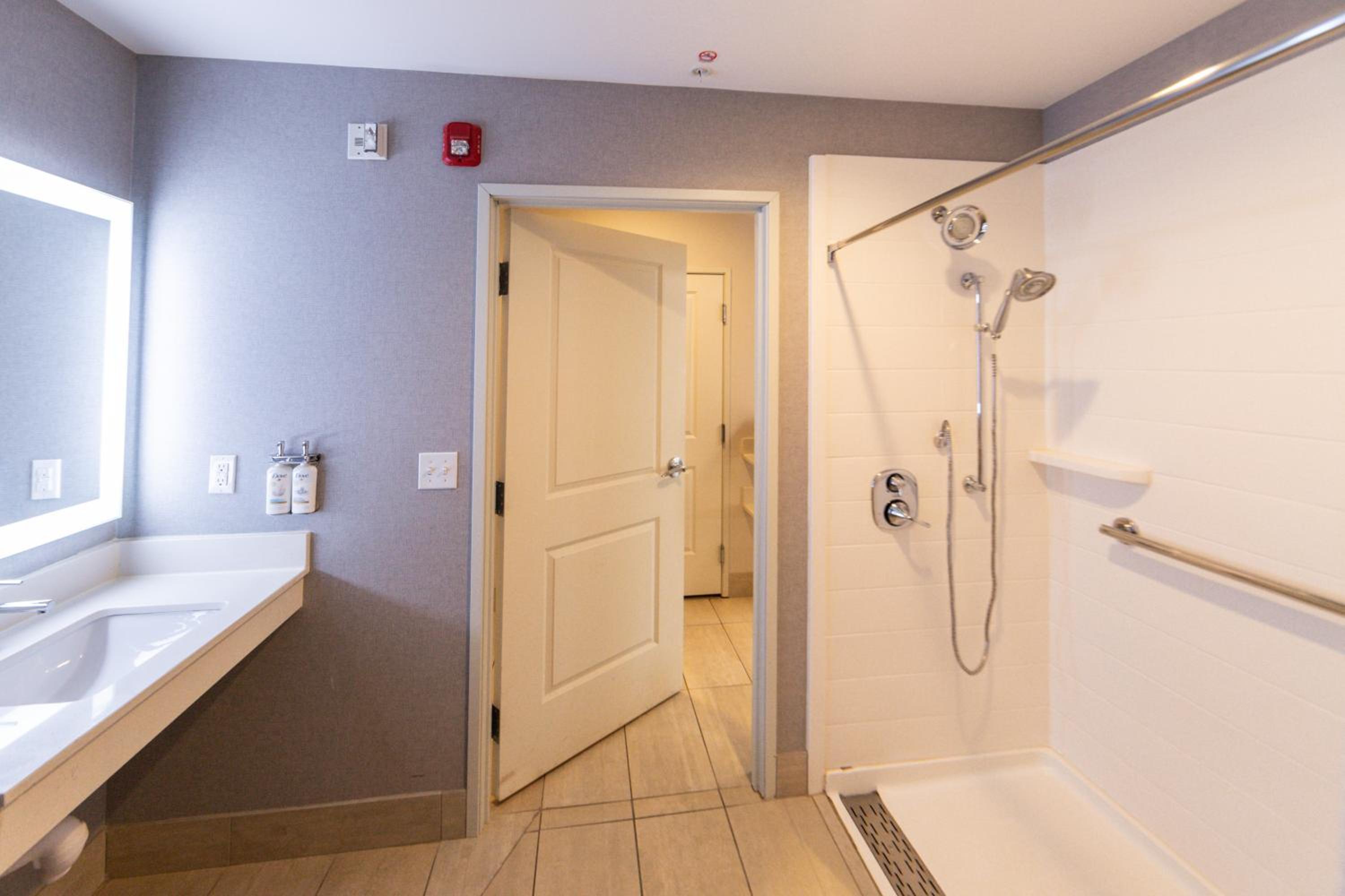 Suite - Disability Access Roll in Shower/Non-Smoking photo 3