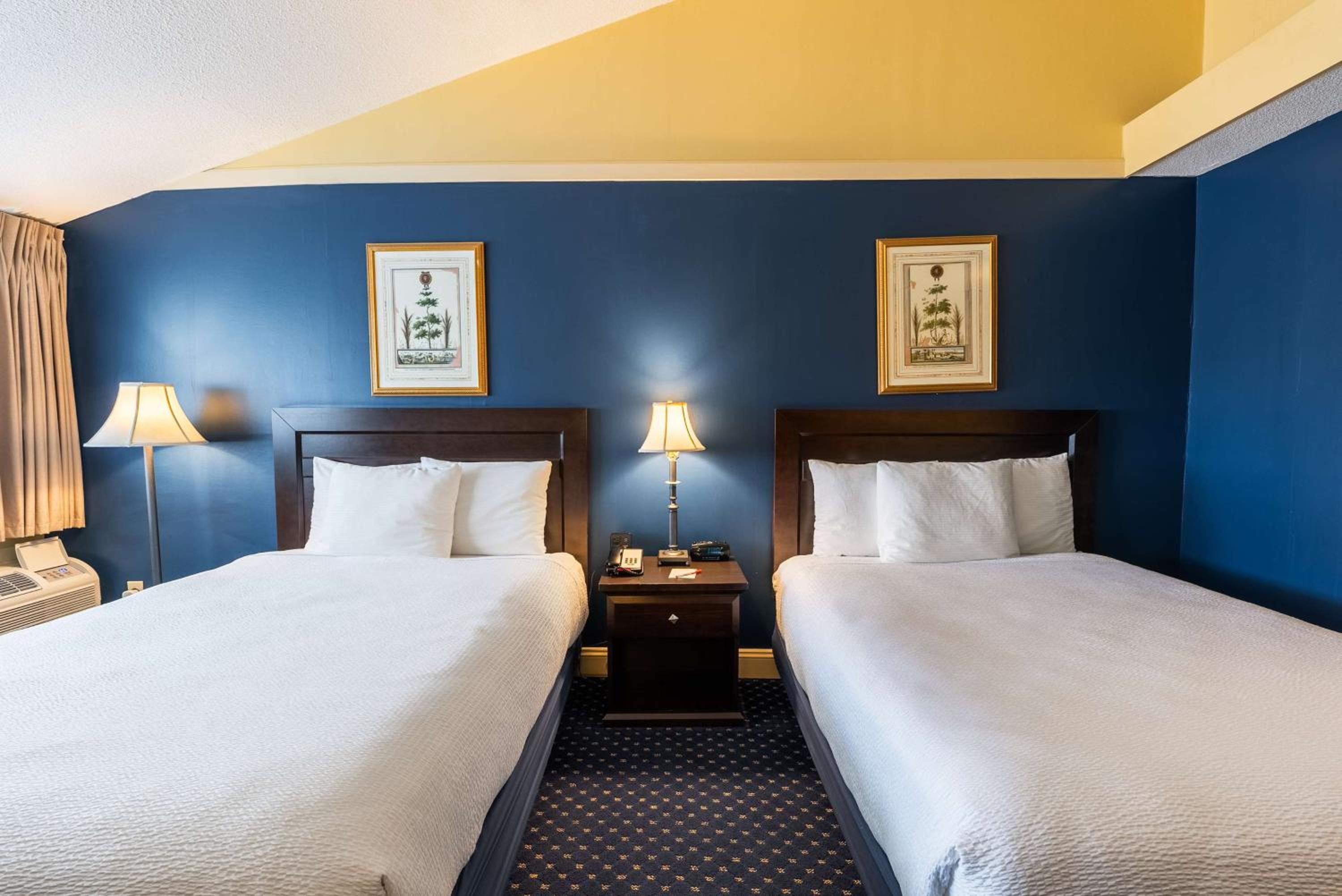 Double Queen Room photo 1