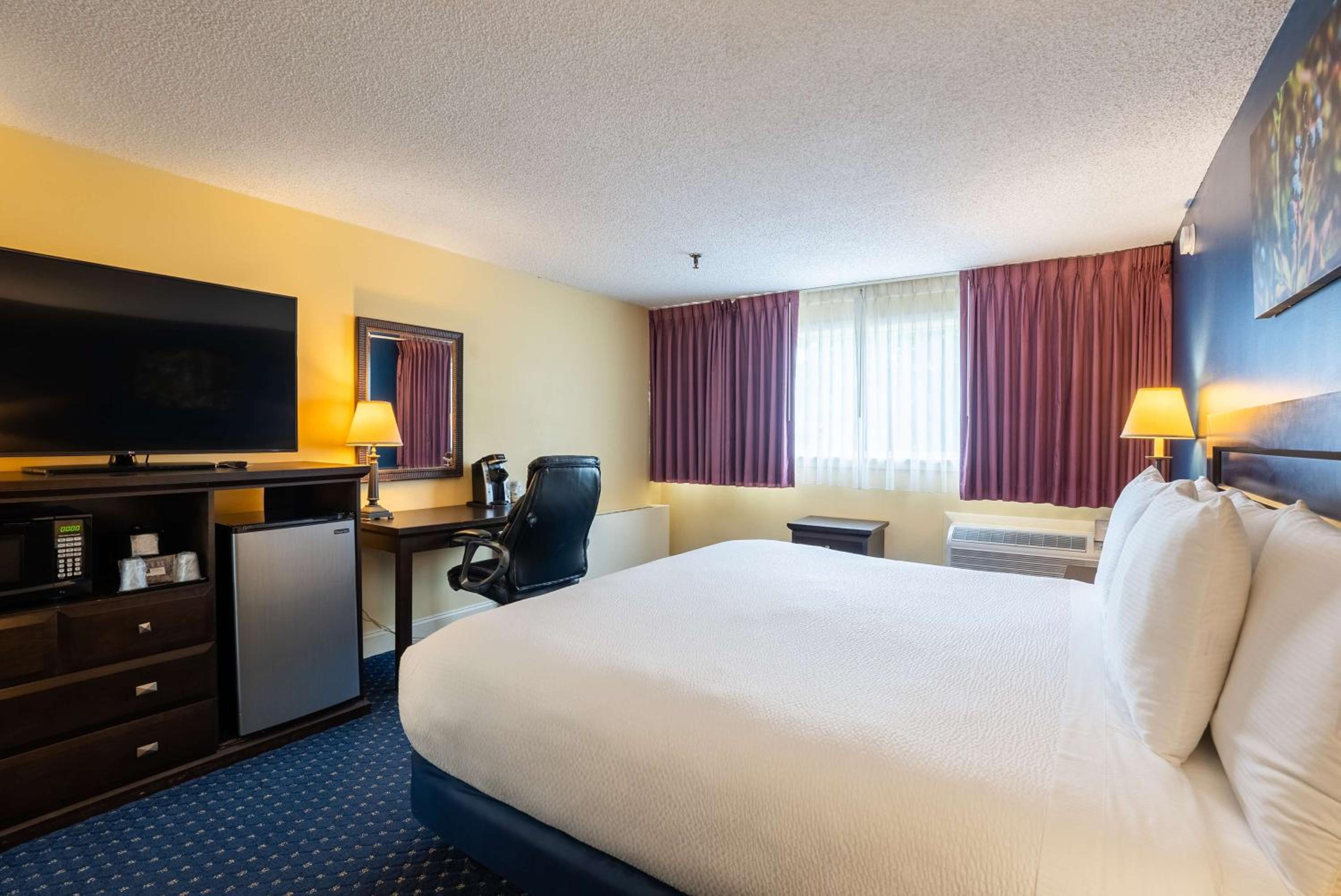 King Room photo 2