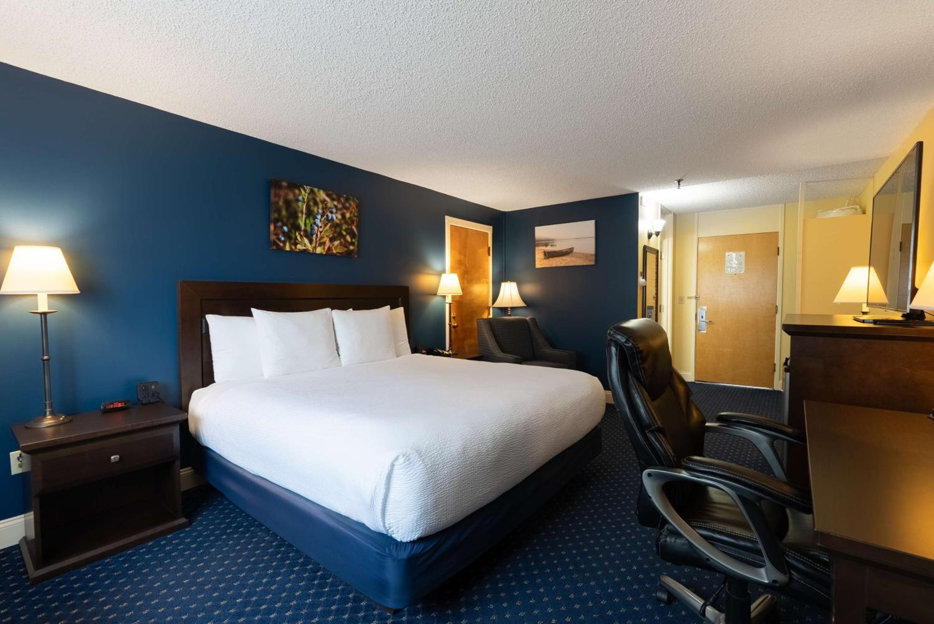 King Room photo 1