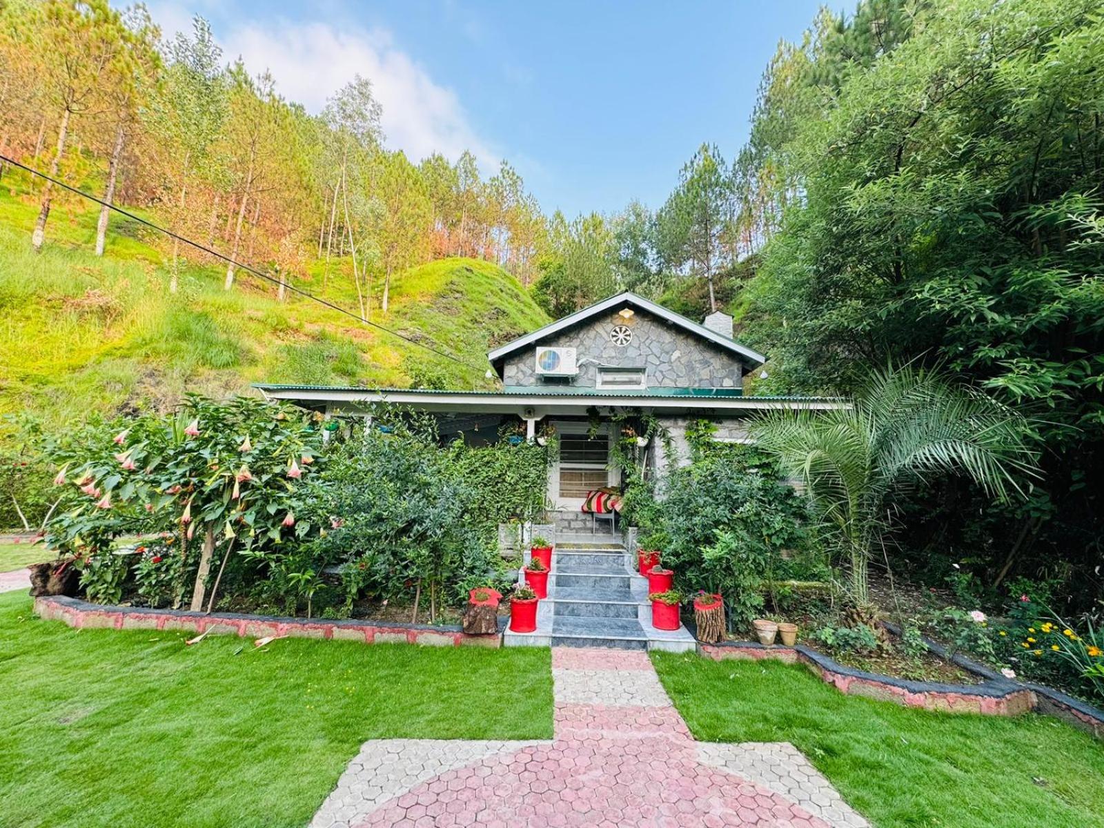 Deluxe Villa